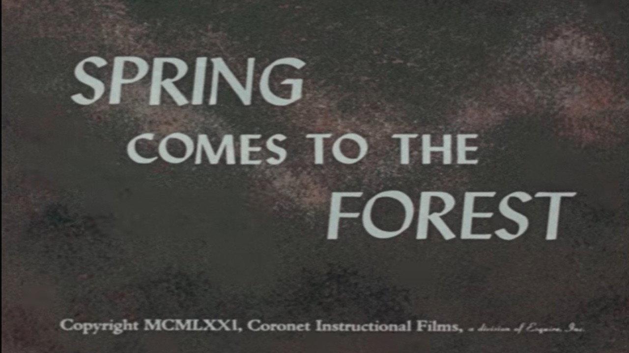 Spring Comes to the Forest 1972 movie scene