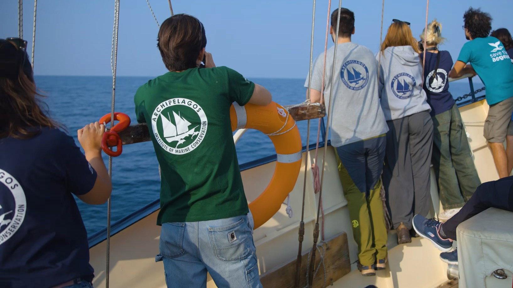 Saving the Hidden Coral of the Mediterranean 2026 movie scene