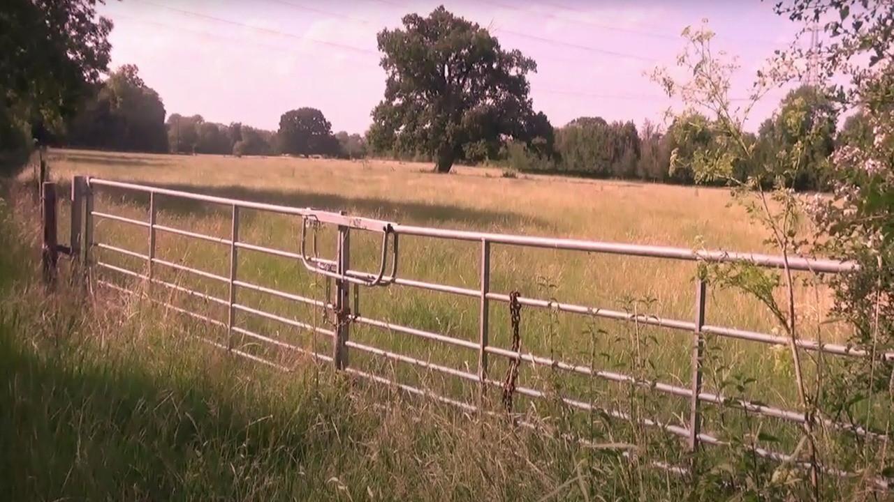 An Occurrence in the Countryside 2023 movie scene