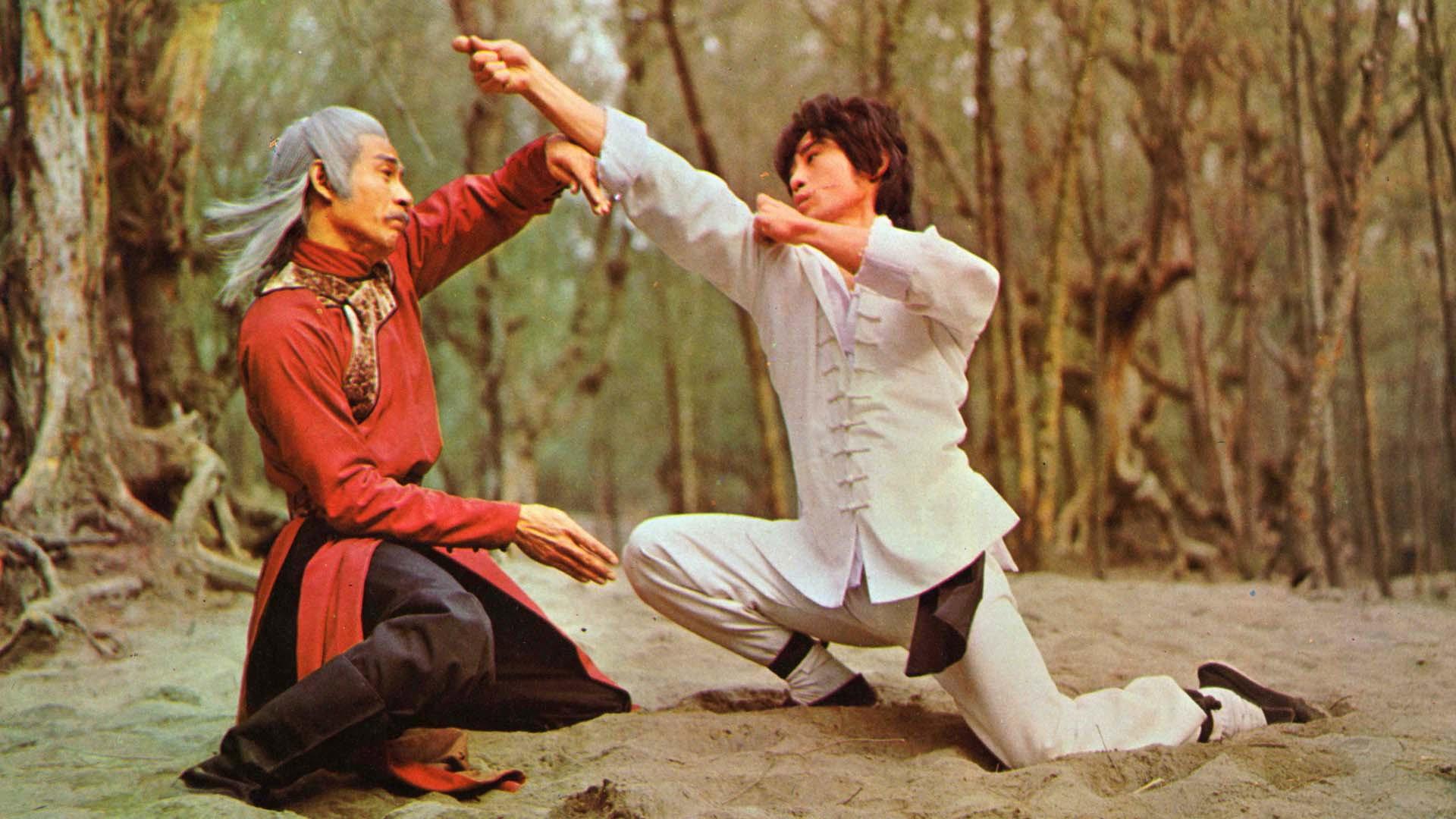 Shaolin Kung Fu Master 1978 movie scene