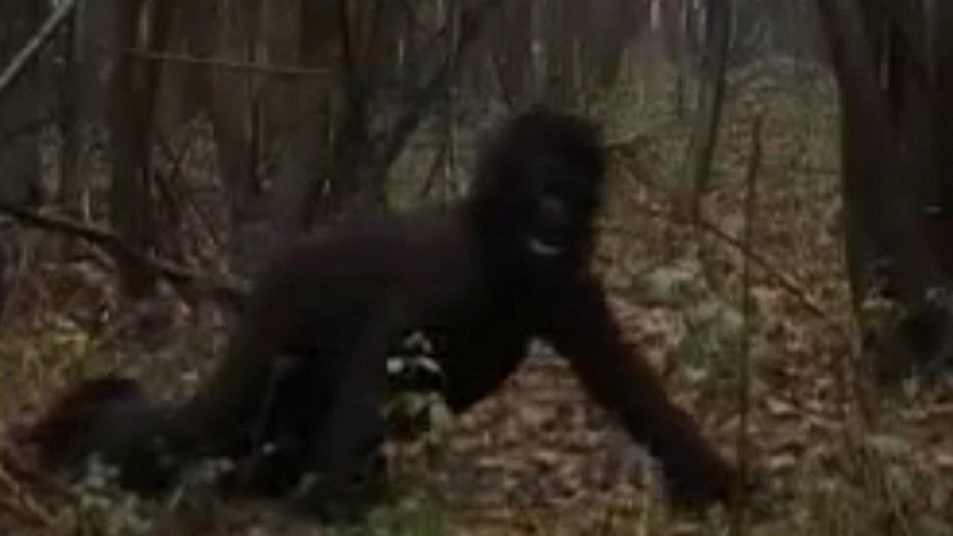 The Dark Hunter 2003 movie scene