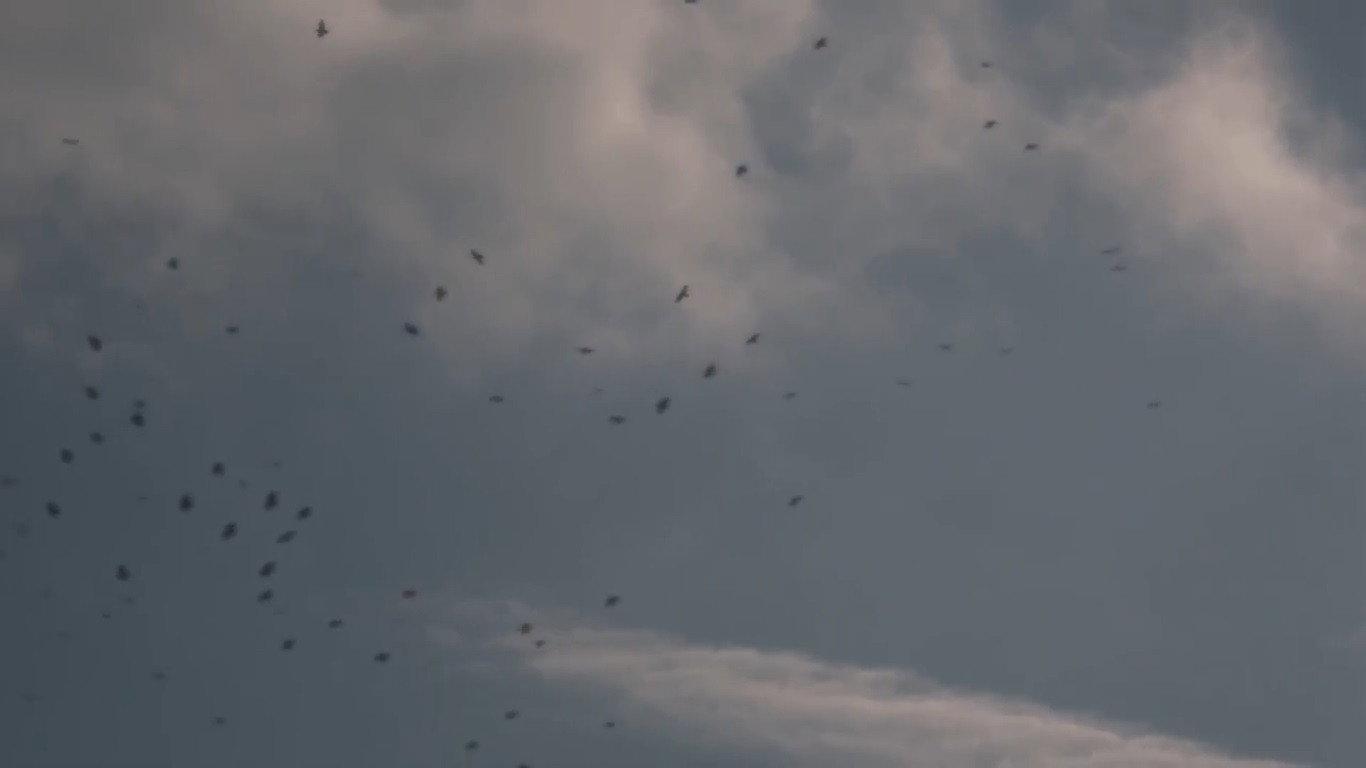 The Sky Seemed Too High 2013 movie scene