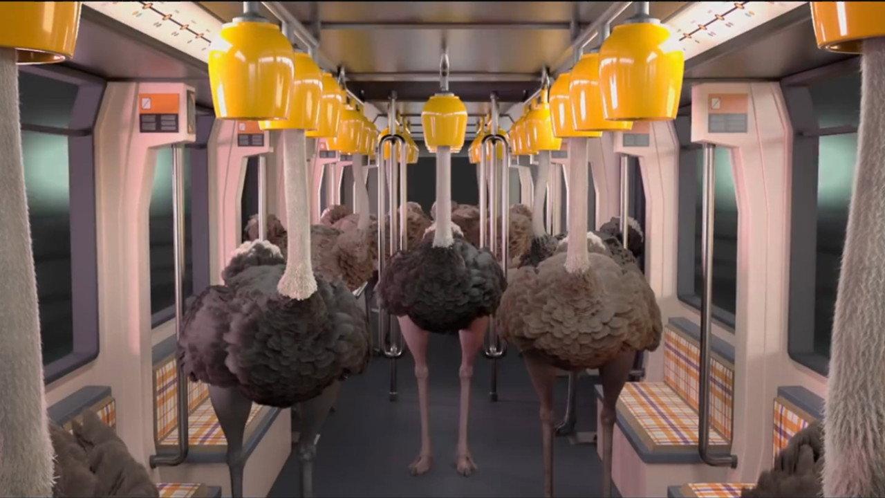 Ostrich Politic 2018 movie scene