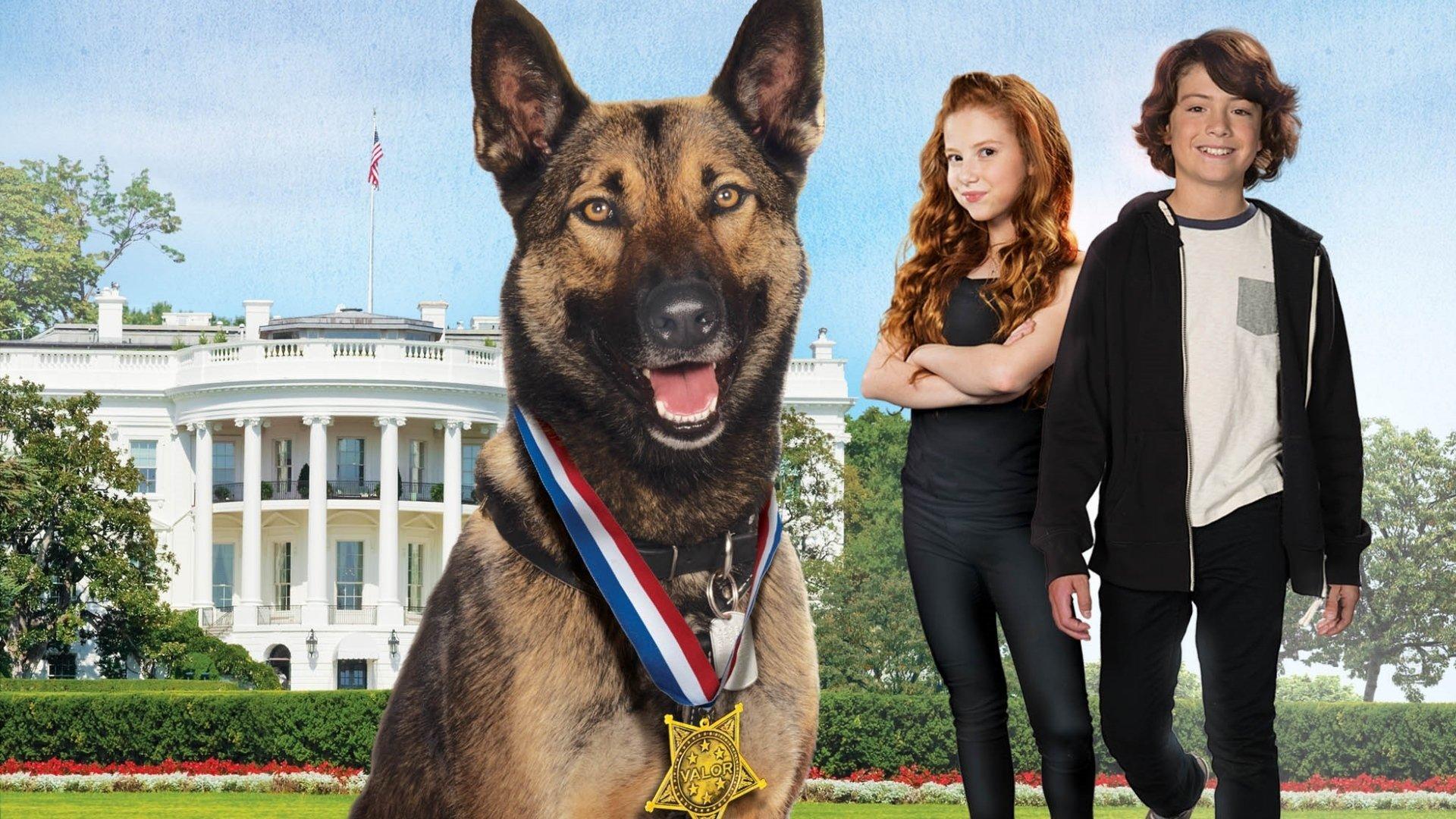 Max 2: White House Hero 2017 movie scene