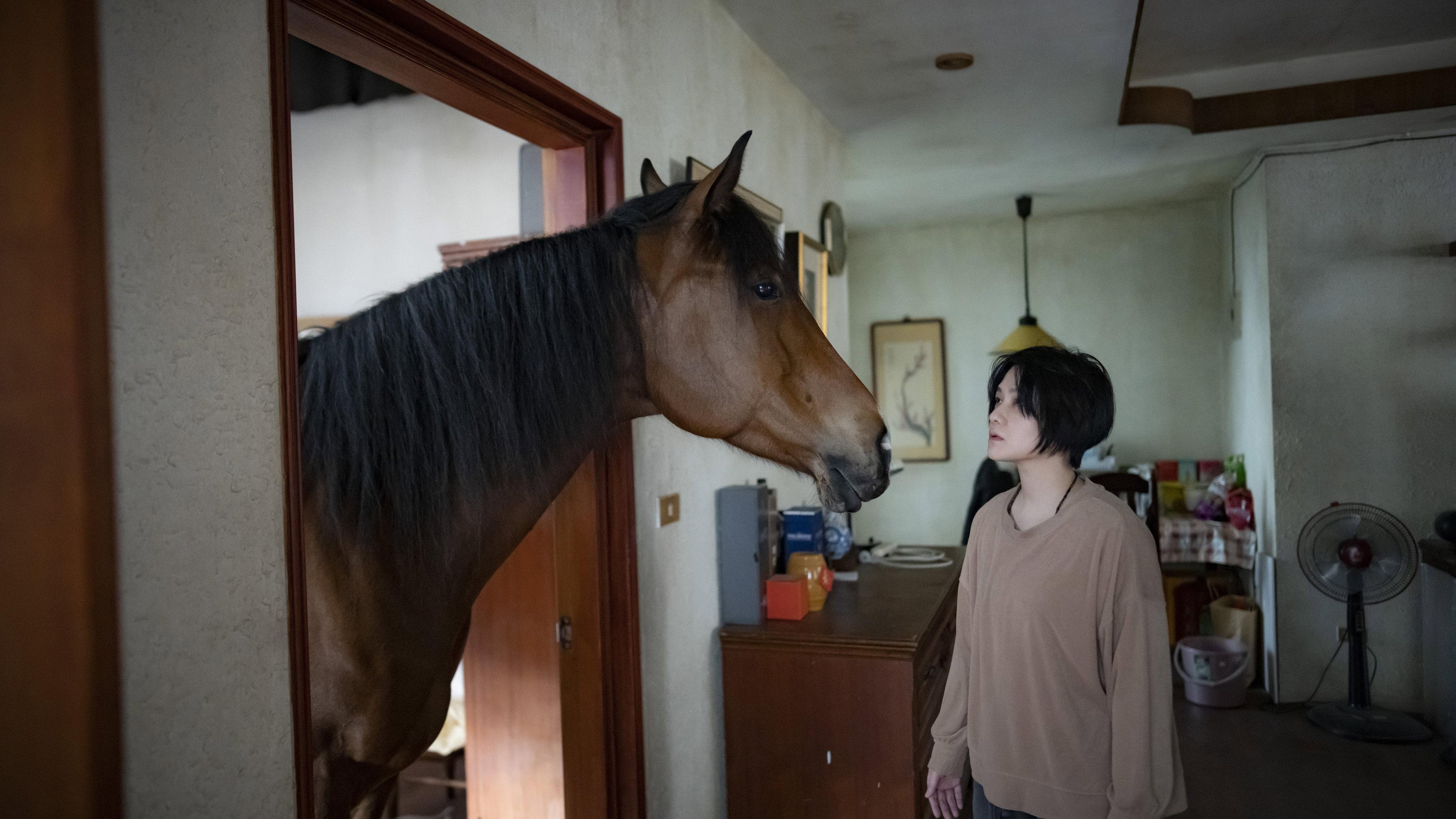 The Horse 2023 movie scene