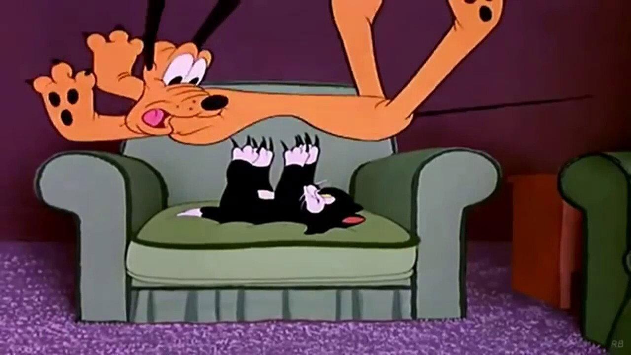 Cat Nap Pluto 1948 movie scene
