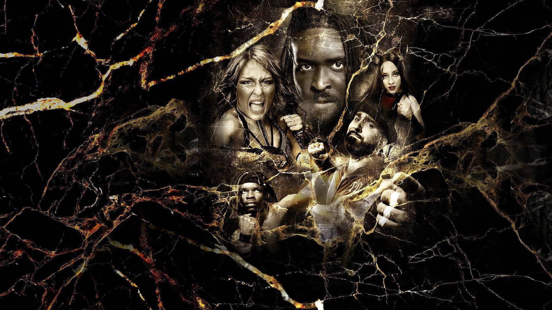 NXT Vengeance Day 2025 2025 movie scene