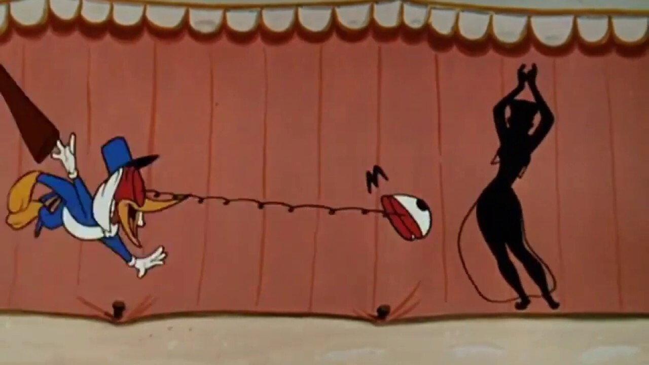 Socko in Morocco 1954 movie scene