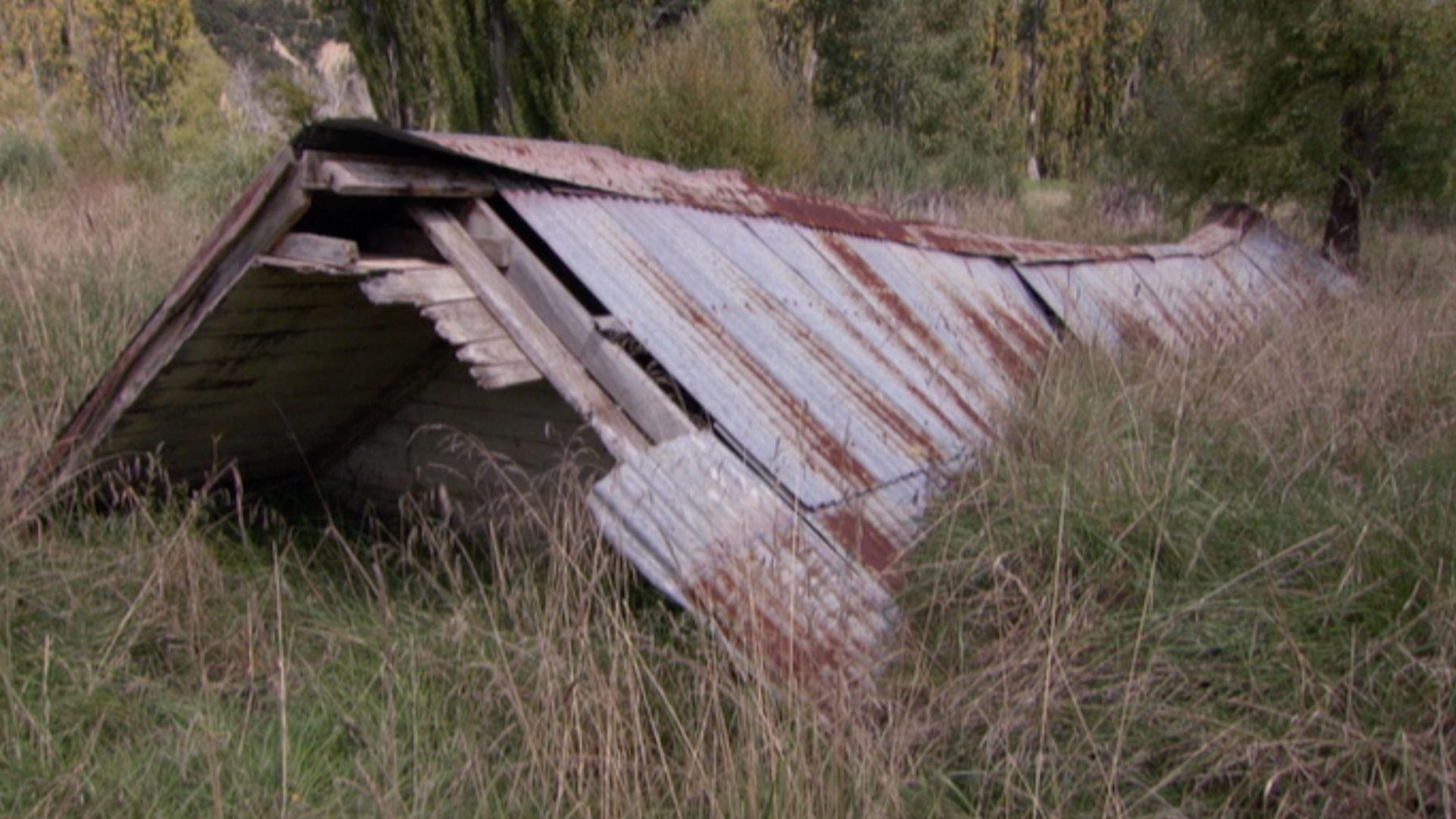 Saving Grace - Te Whakarauora Tangata 2011 movie scene