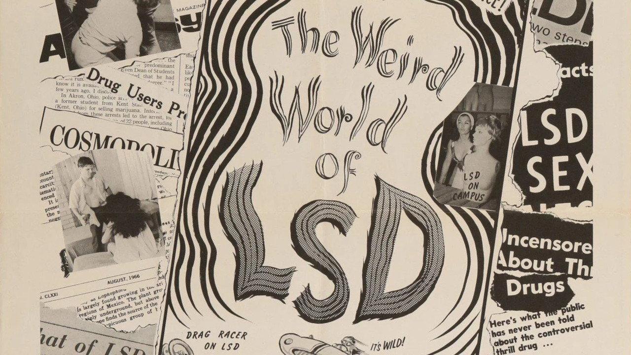 The Weird World of LSD 1967 movie scene