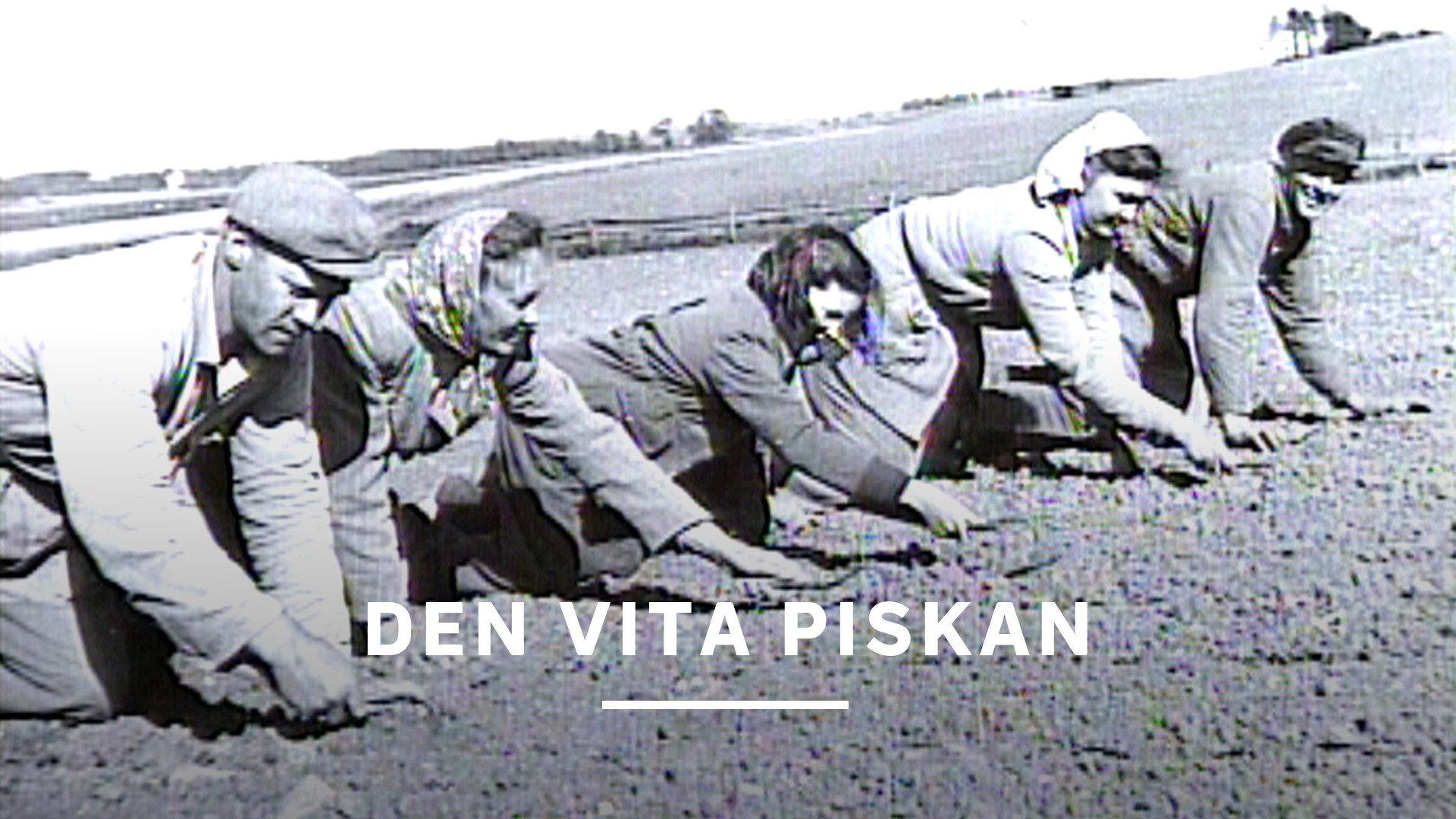 Den vita piskan 1995 movie scene