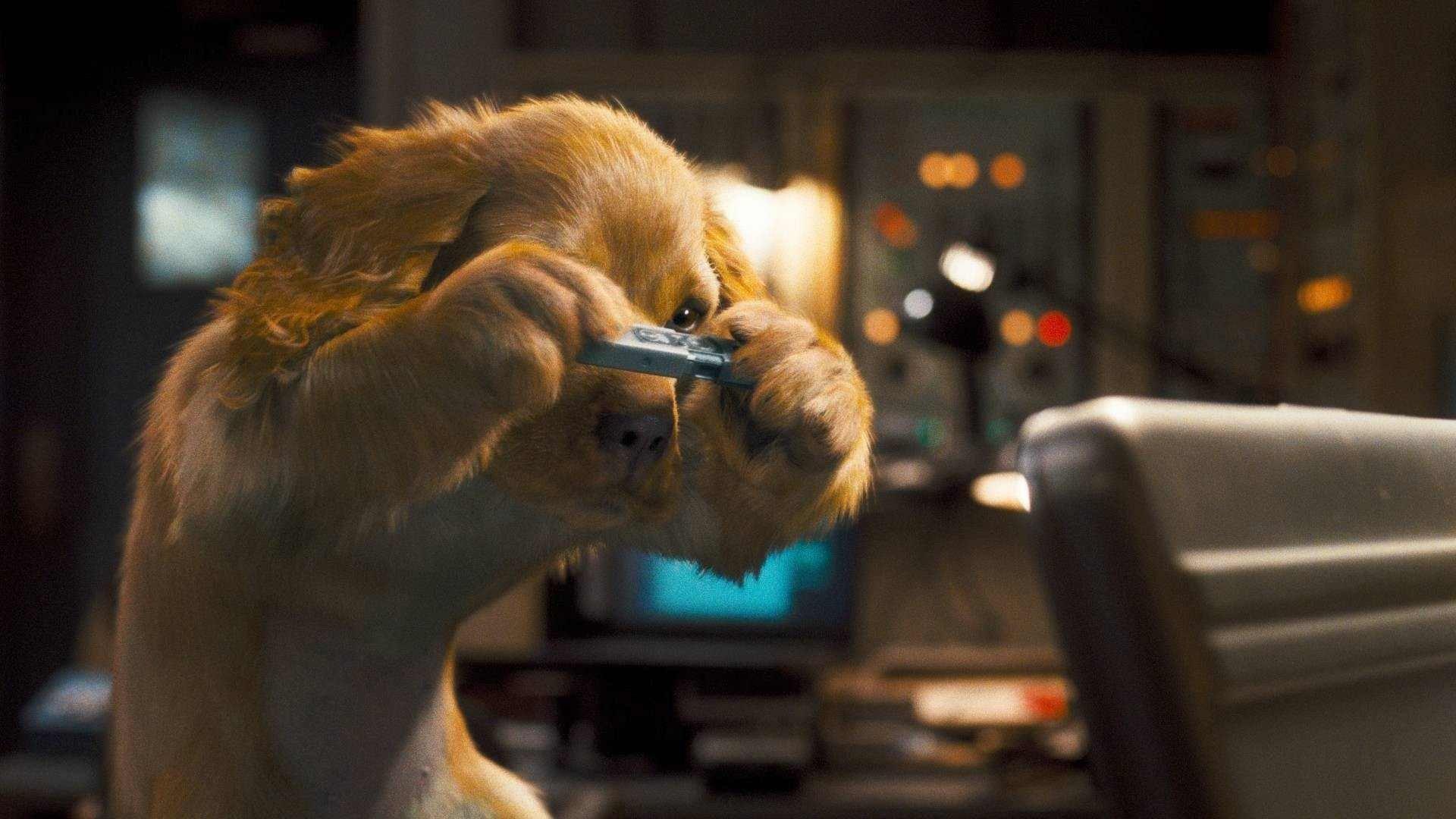 Cats & Dogs: The Revenge of Kitty Galore 2010 movie scene