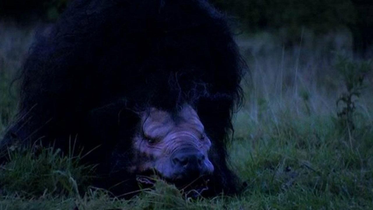 Wild Country 2005 movie scene