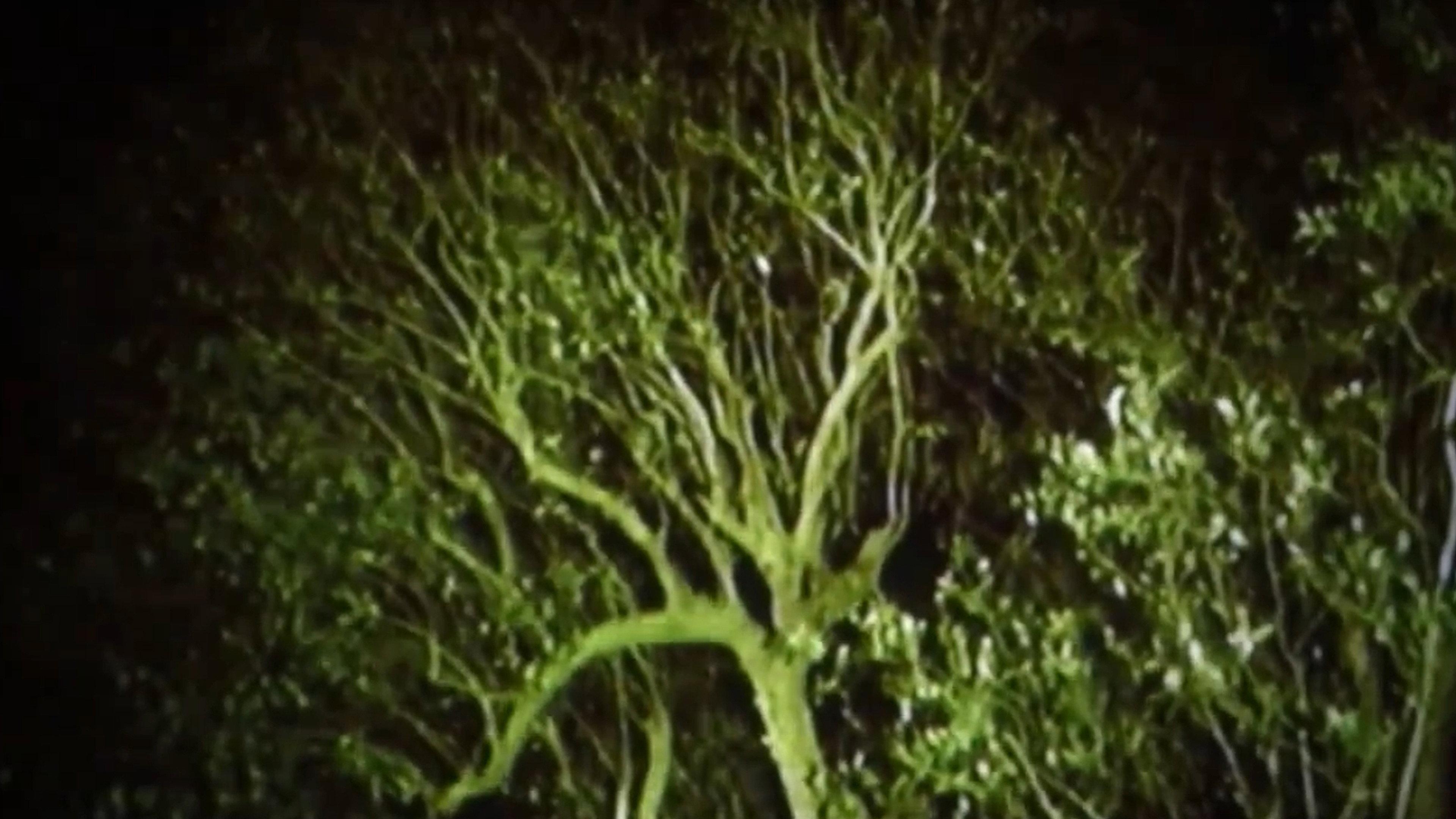Darna: A Stone Is A Heart You Cannot Swallow 2012 movie scene