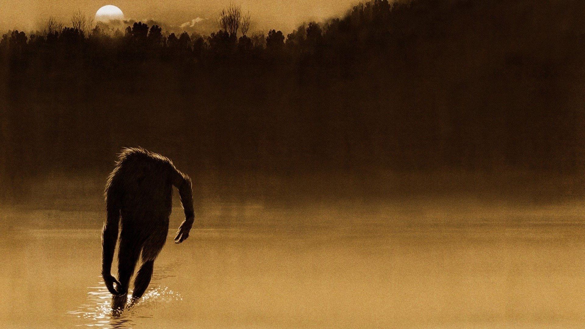 The Legend of Boggy Creek 1972 movie scene