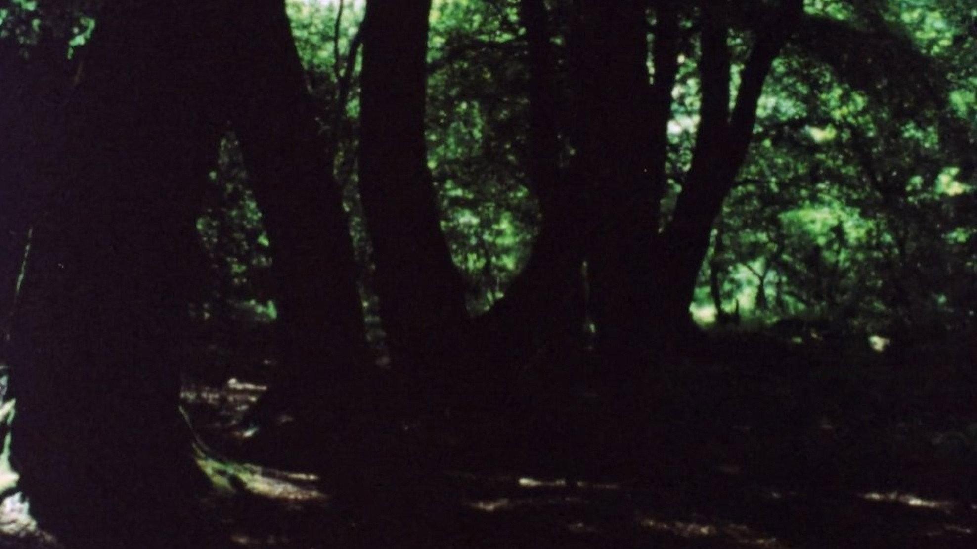 Reflections – Ireland 1977 movie scene