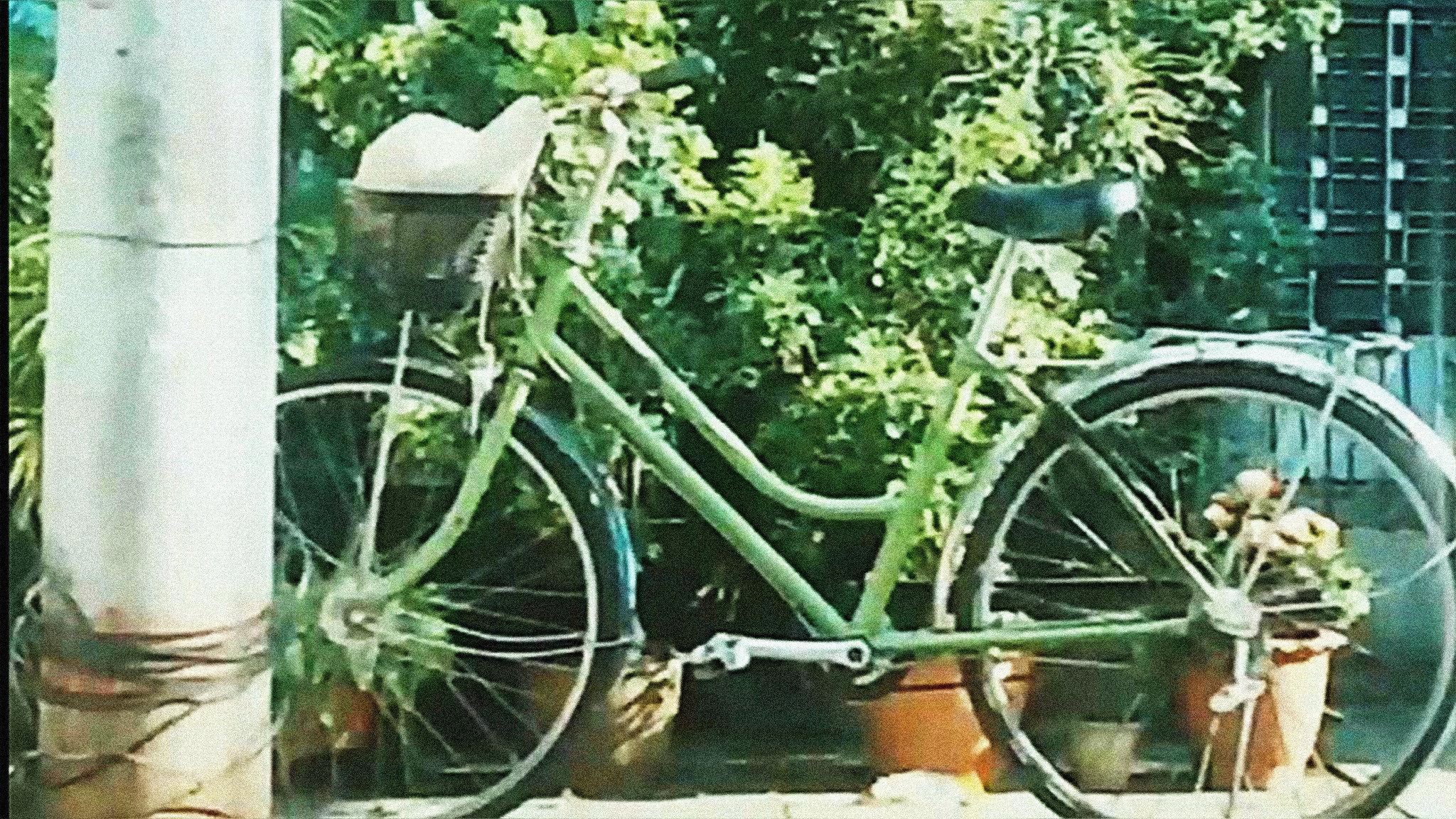 Memorandum of Softness Green 2023 movie scene