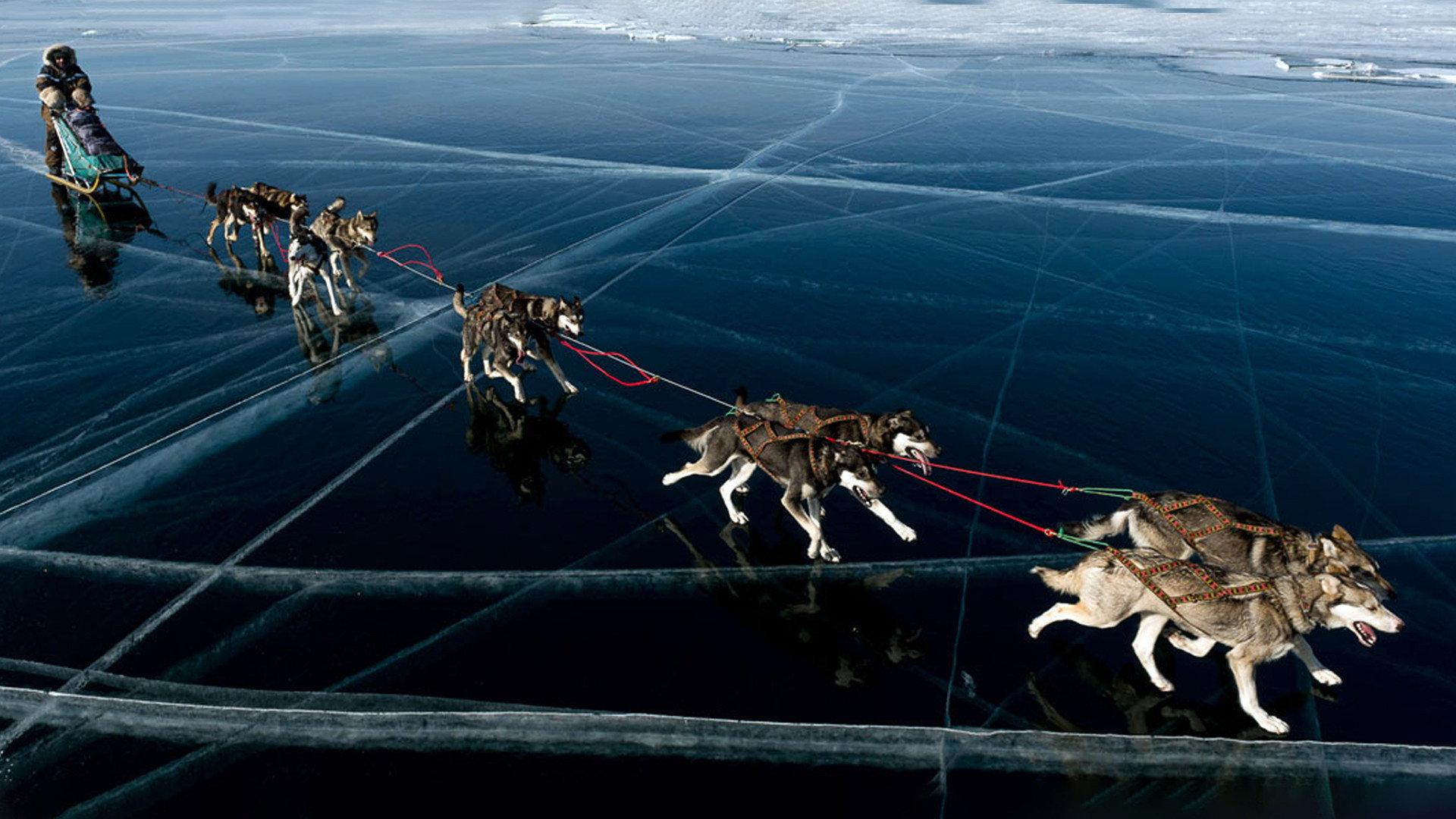 Au Nord De L'Hiver 1993 movie scene