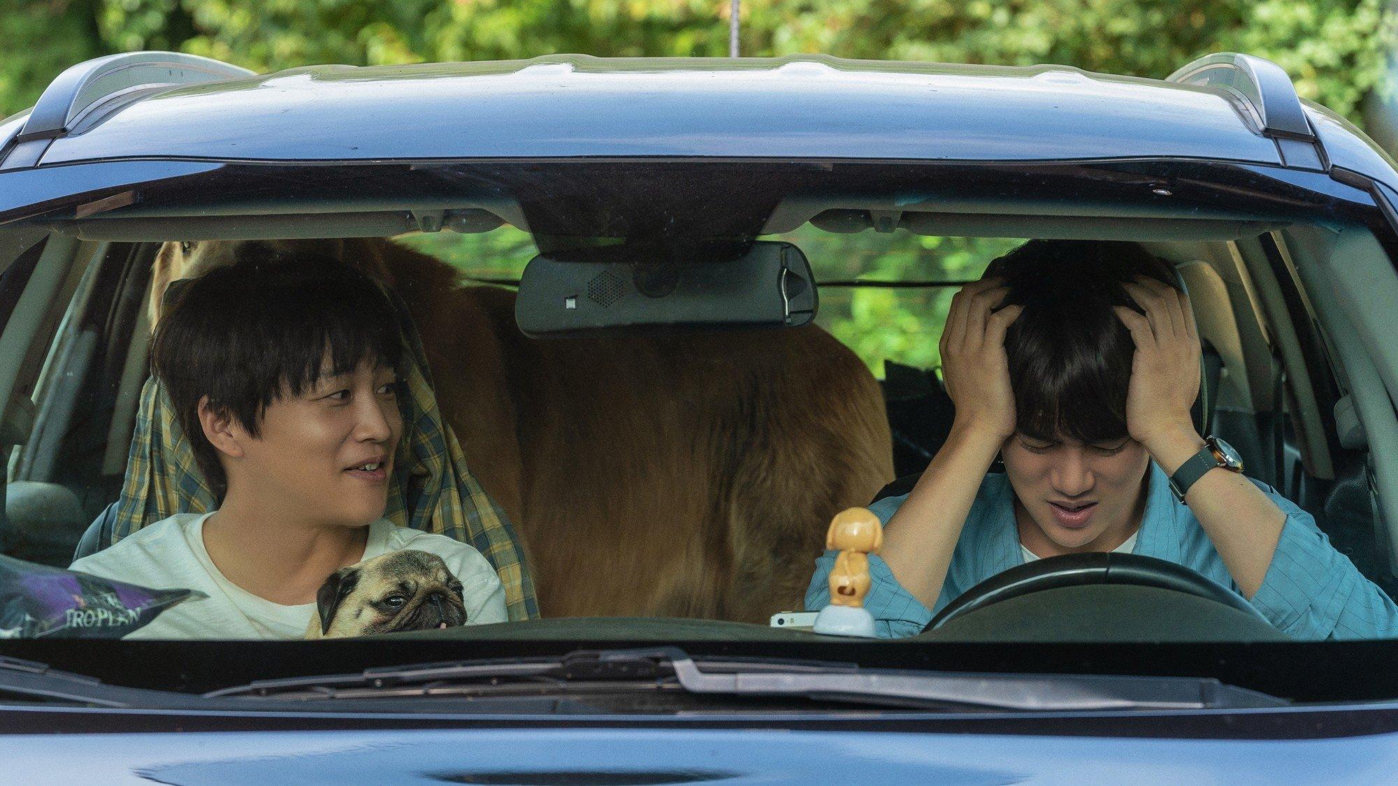 My Heart Puppy 2023 movie scene