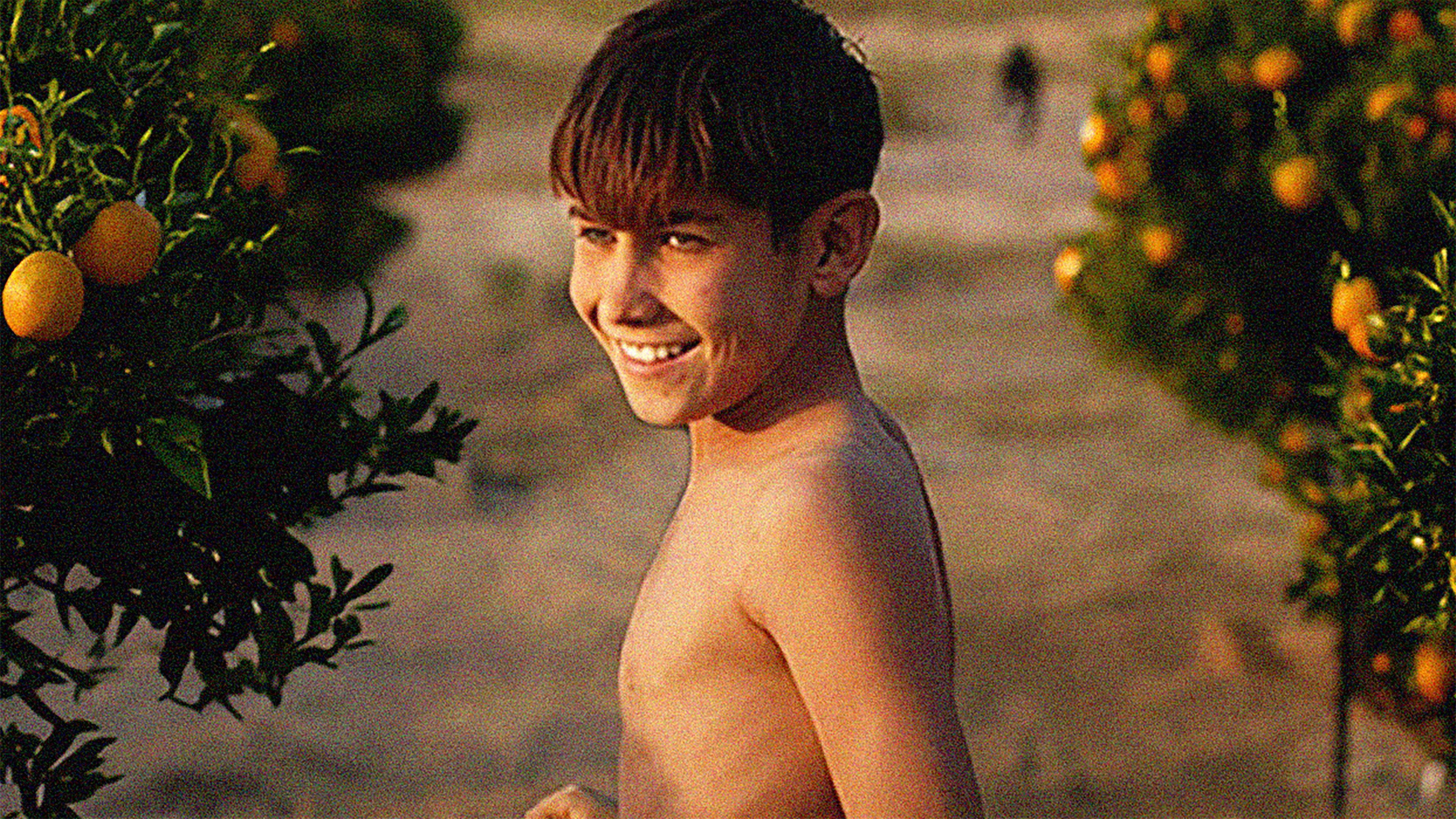 The Orange Grove  movie scene