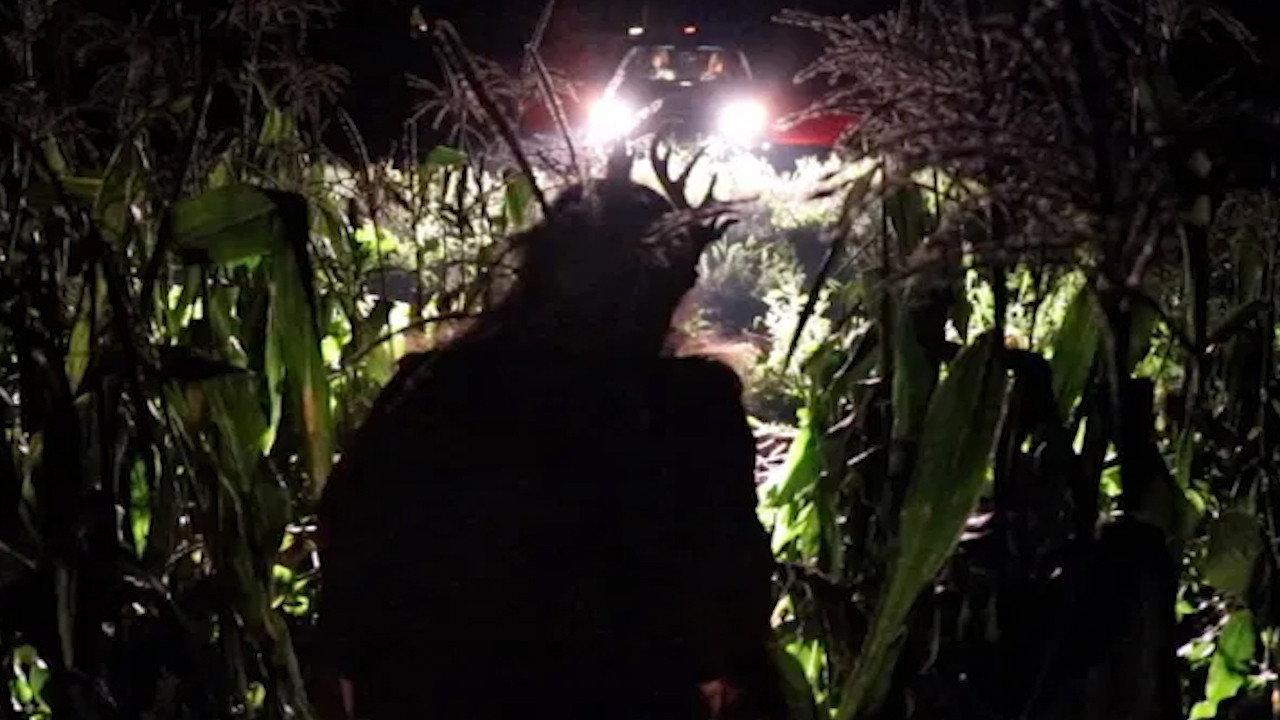 Fawn 2019 movie scene