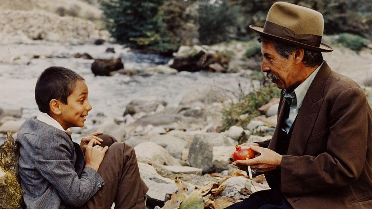 Swallow, My Tree 1986 movie scene
