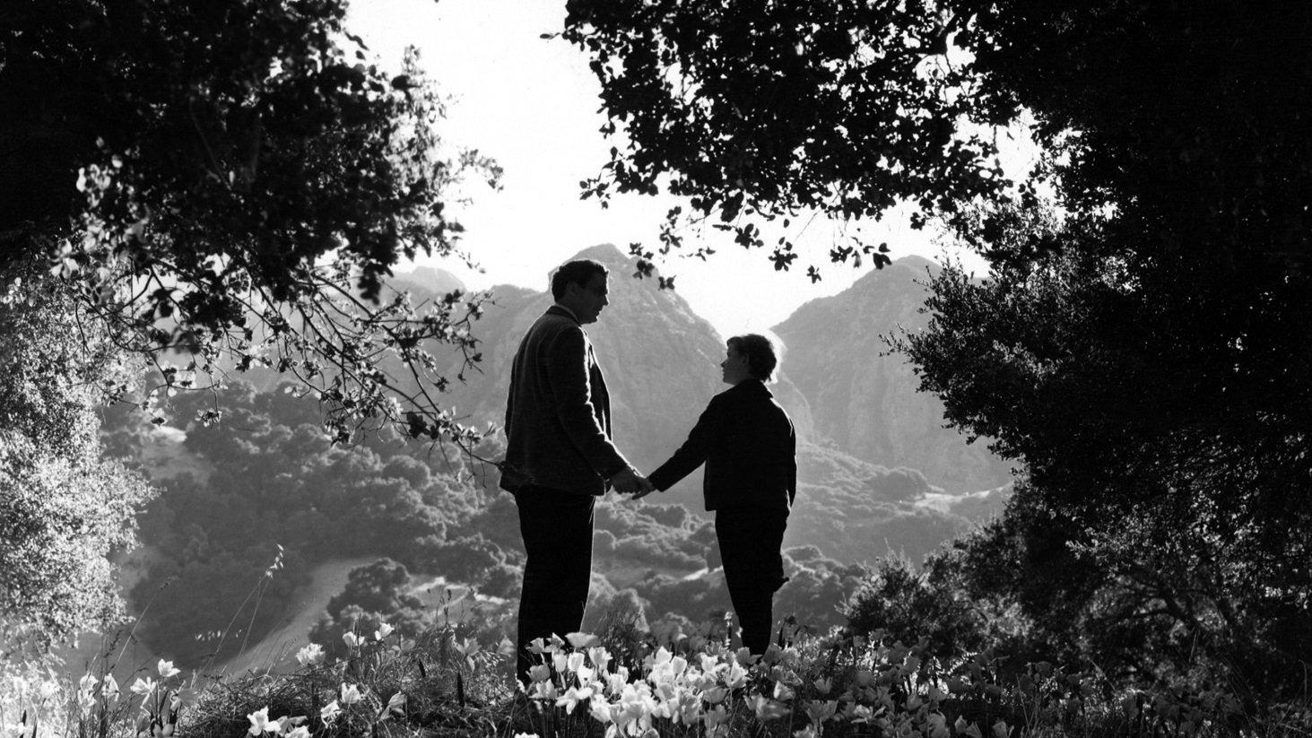 How Green Was My Valley 1941 movie scene