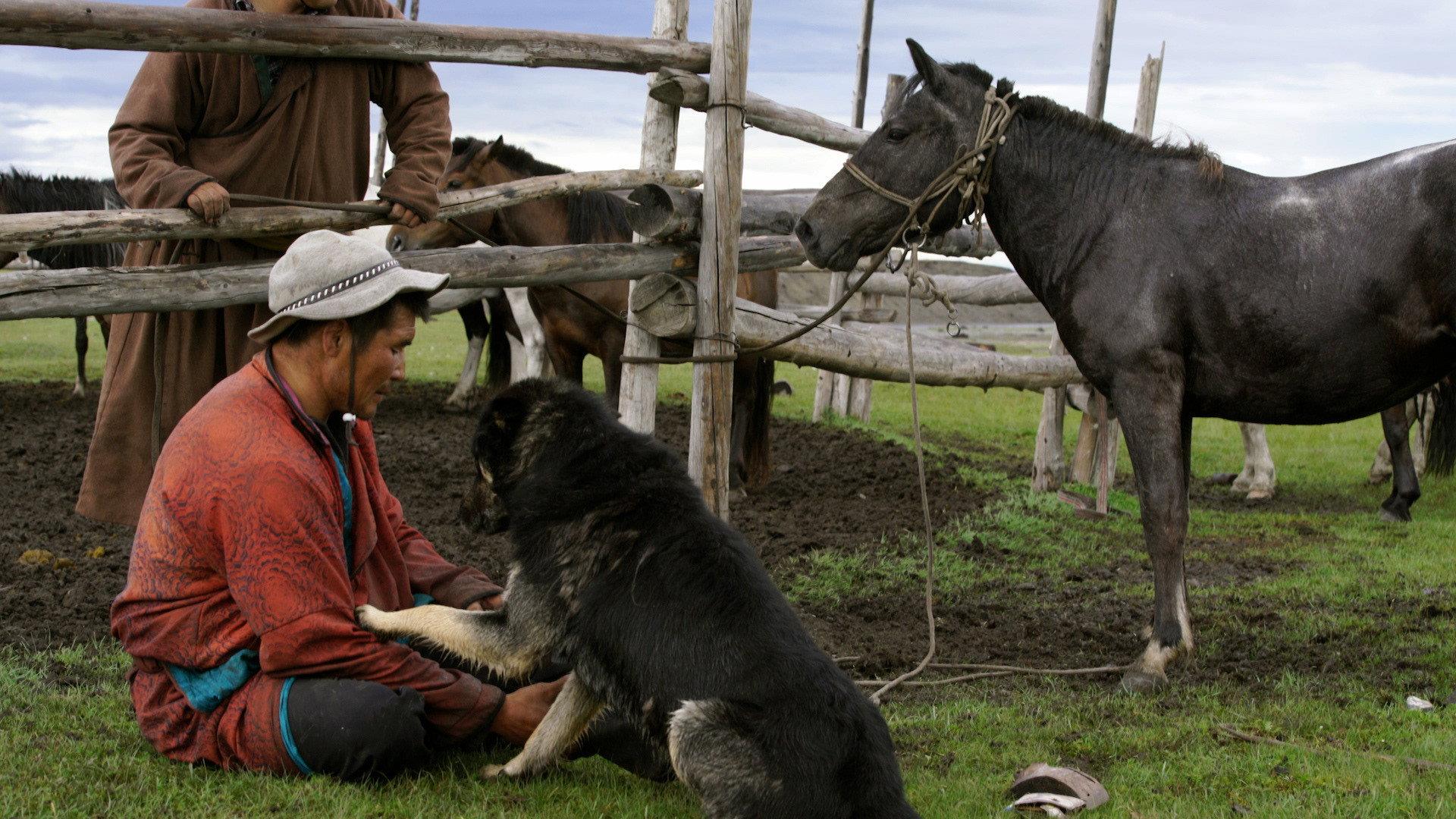 The Bounty Hunter of Mongolia 2021 movie scene