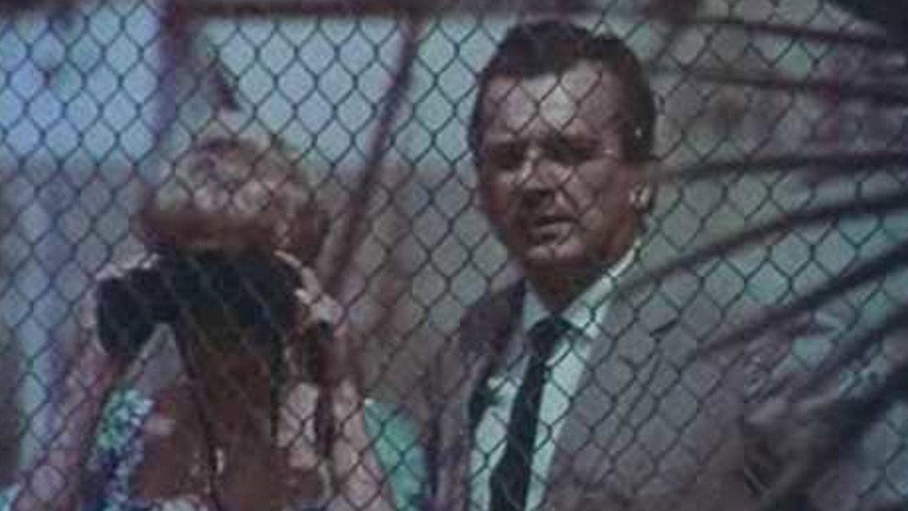 The Magnificent Tony Carrera 1969 movie scene
