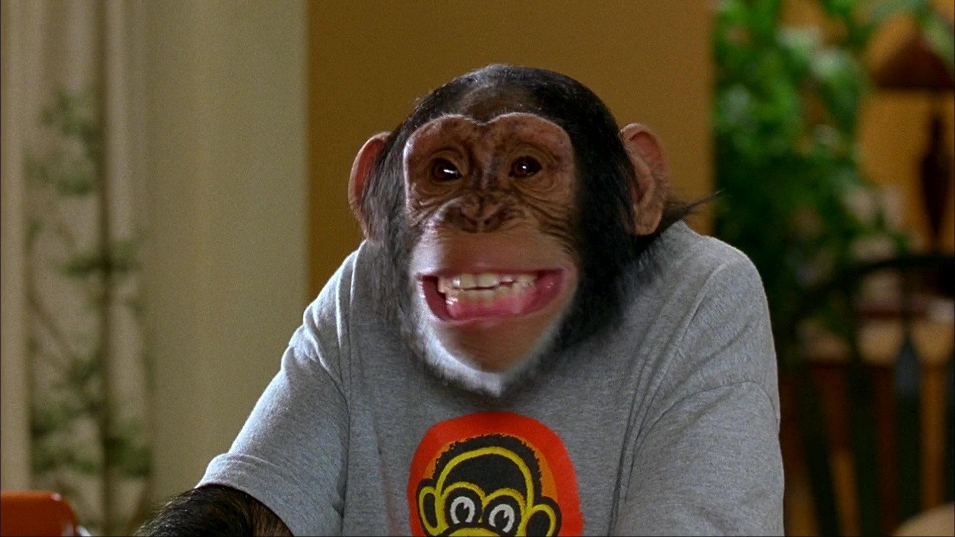 MXP: Most Xtreme Primate 2004 movie scene