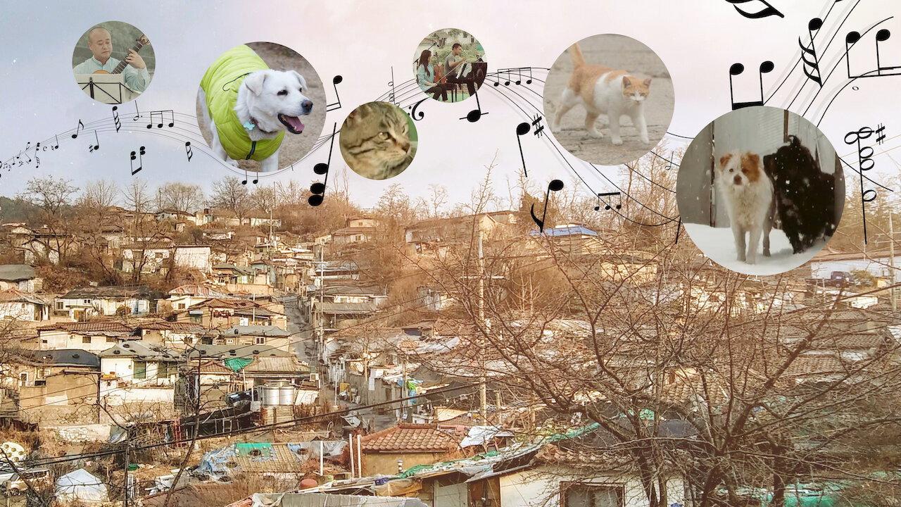 A Time for Dogs and Cats 2020 movie scene