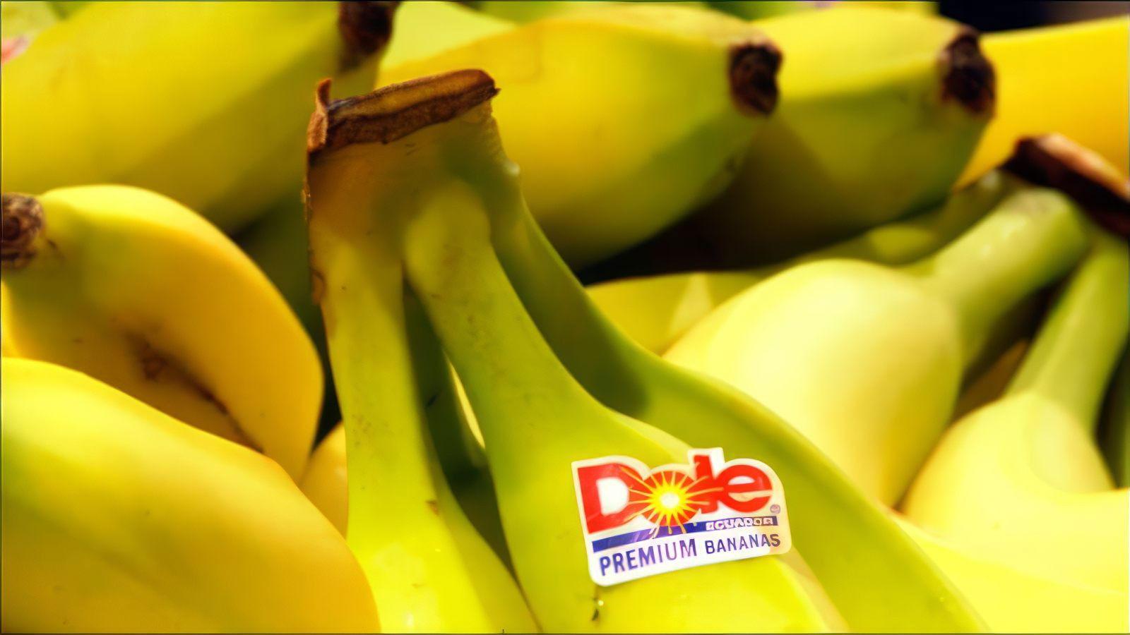 Big Boys Gone Bananas!* 2011 movie scene