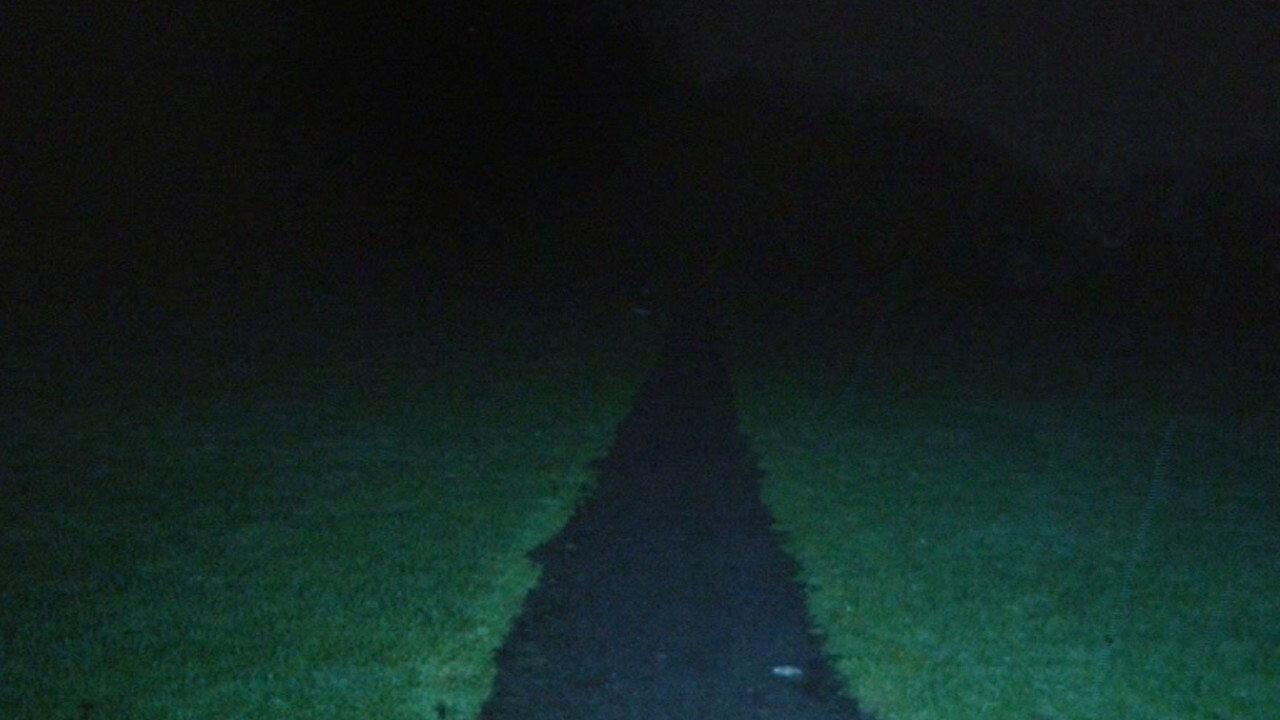 LEASH 2021 movie scene