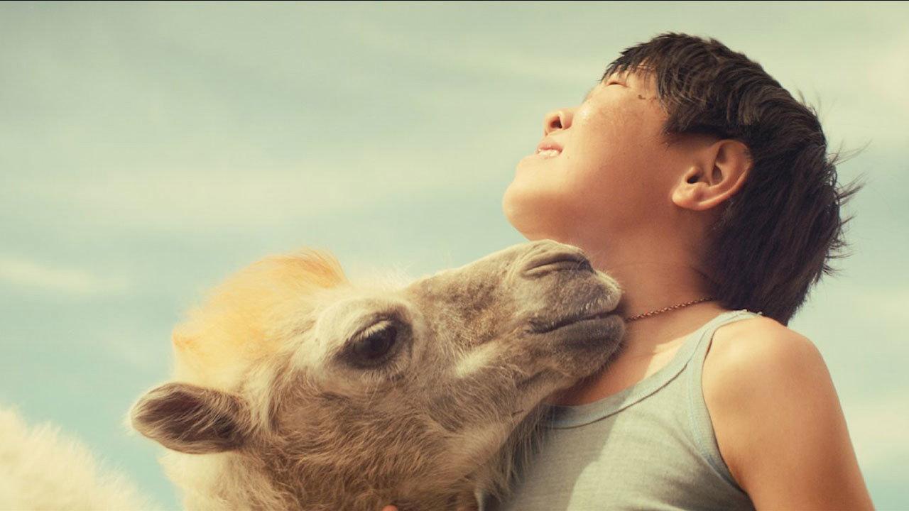 Celestial Camel 2015 movie scene