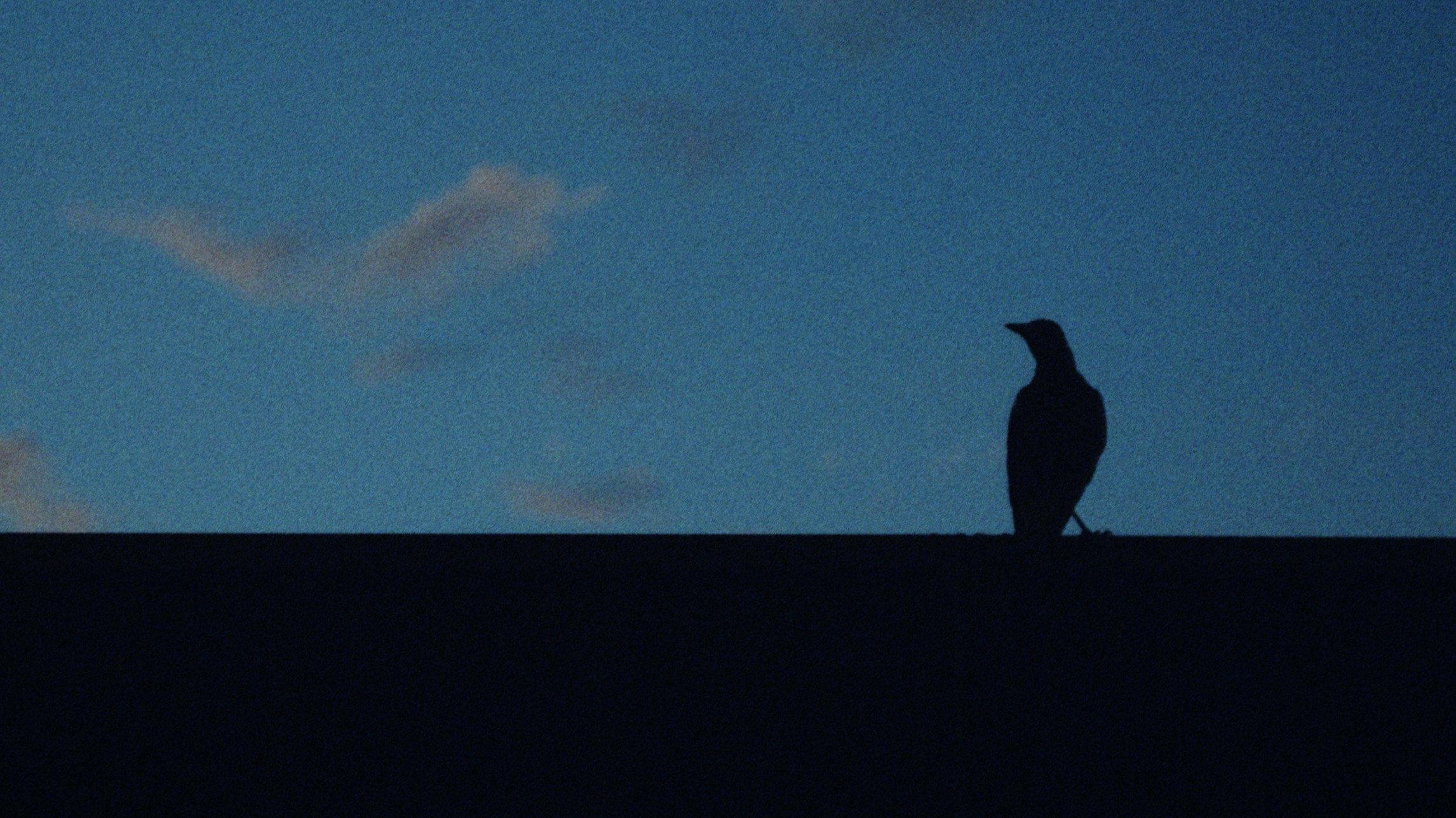A Sign of Things 2021 movie scene
