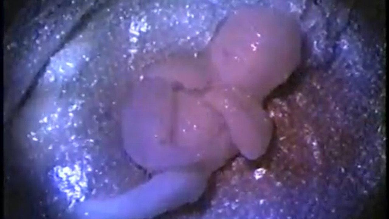 Busted Babies 2024 movie scene
