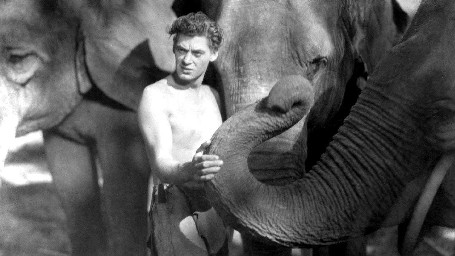 Tarzan the Ape Man 1932 movie scene