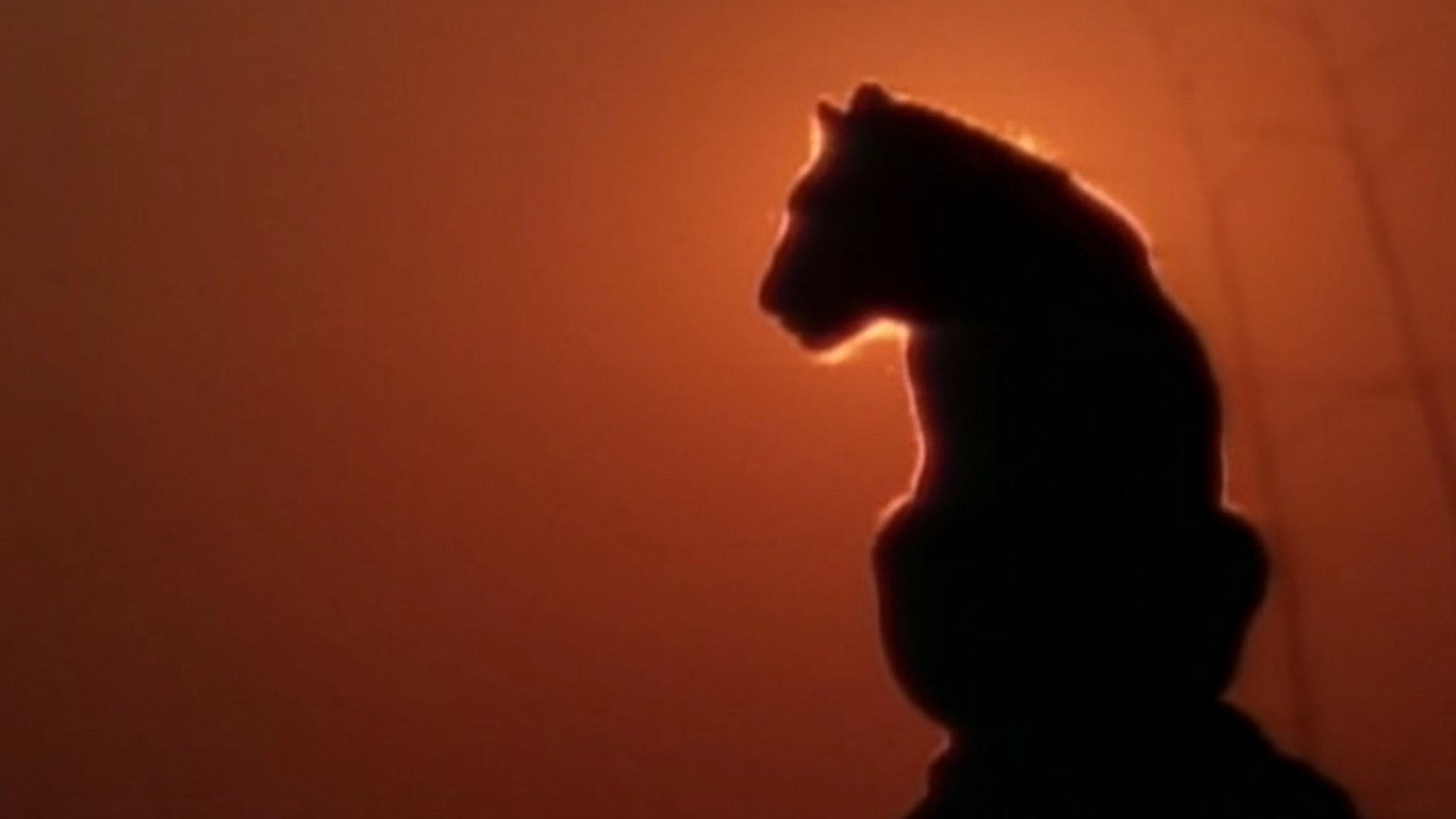 Lions Of Darkness 1993 movie scene