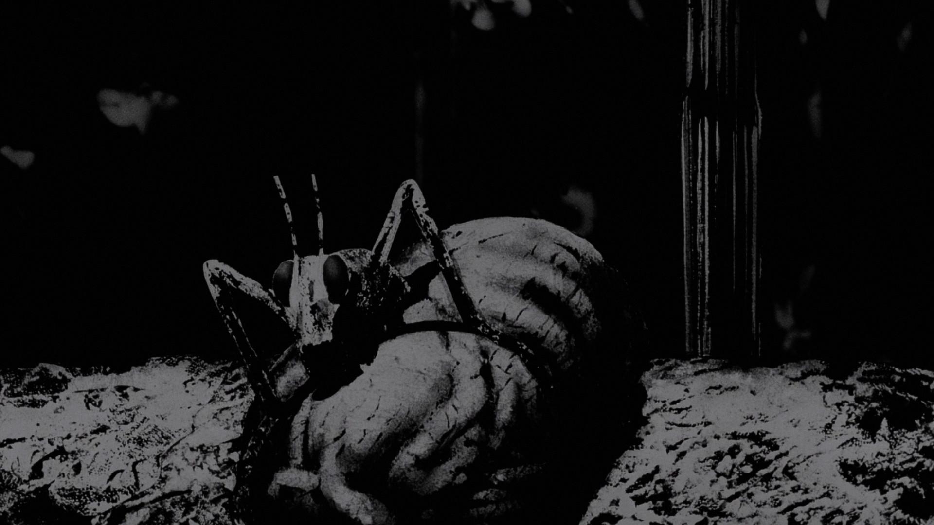 Reflections 1979 movie scene