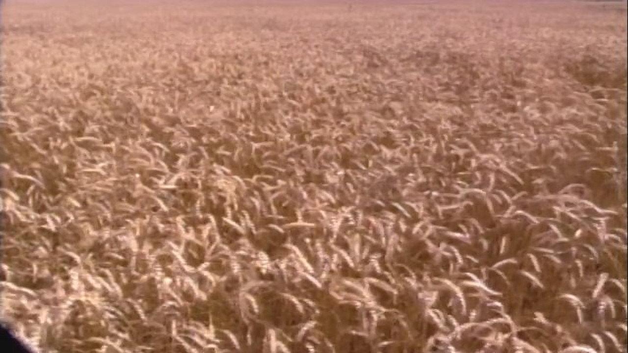 End of the Harvest 1998 movie scene