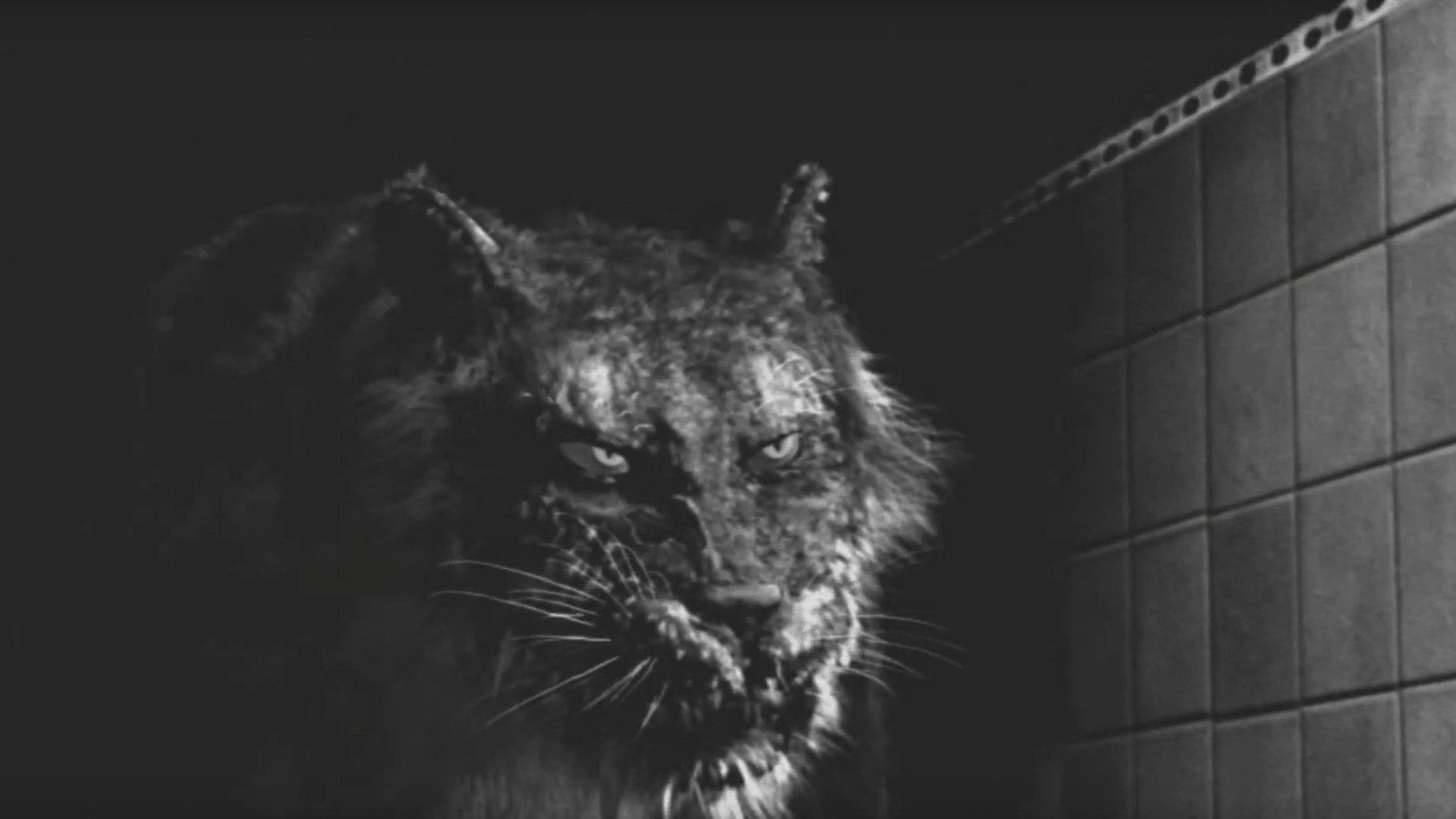 Tyger 2007 movie scene
