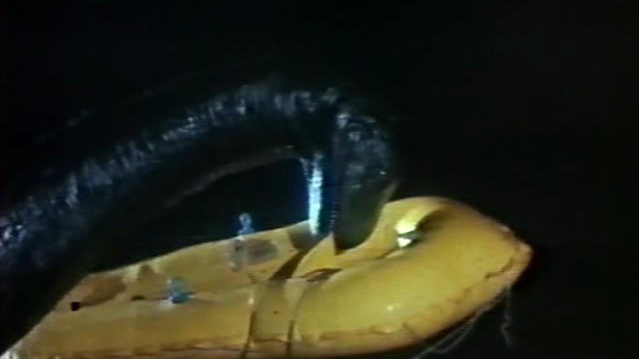 The Loch Ness Horror 1981 movie scene