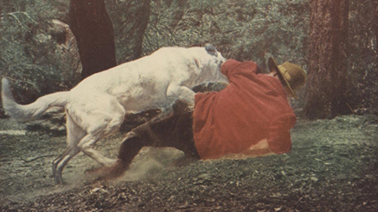 Yukon Gold 1952 movie scene