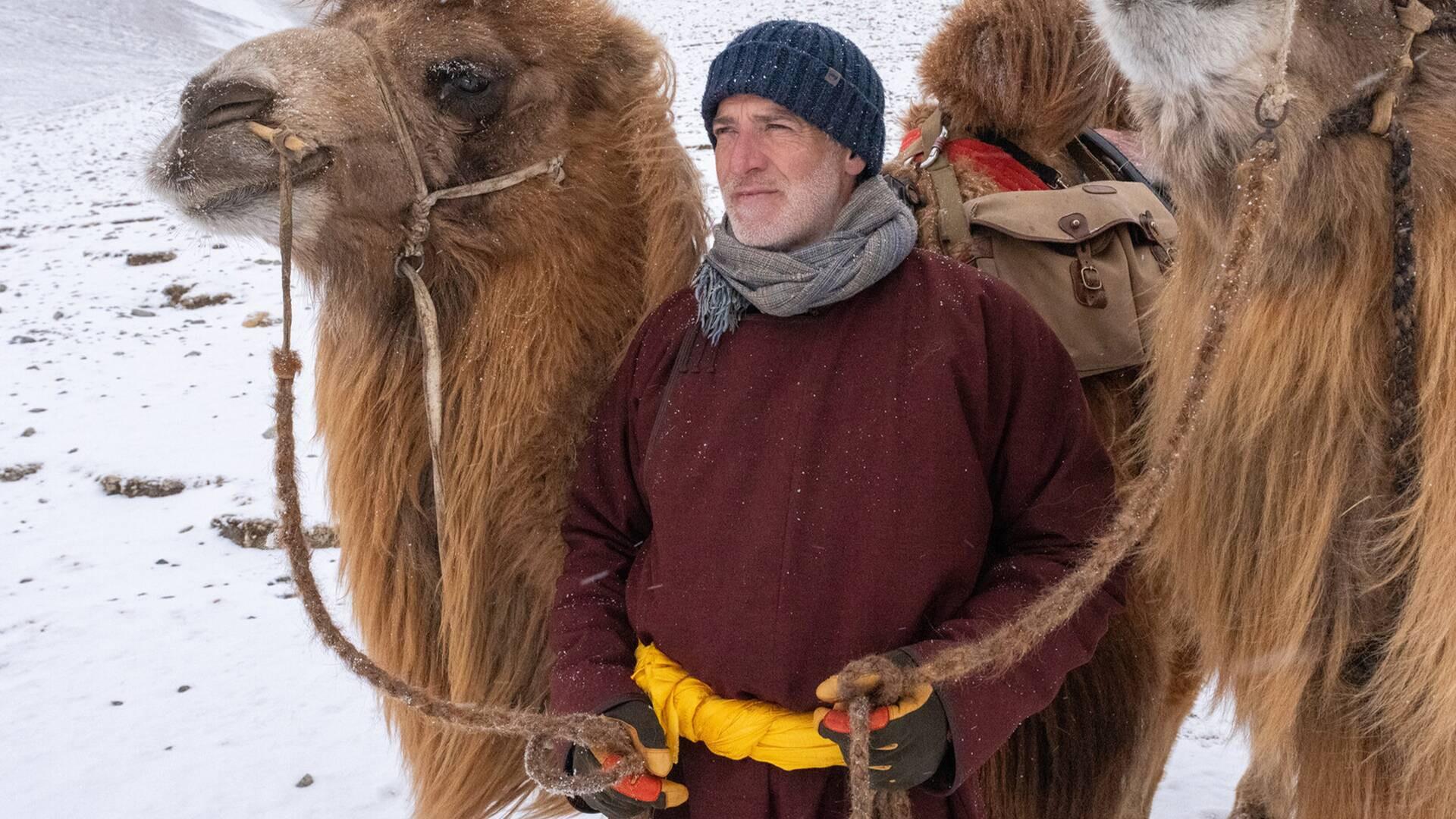 My Epic Camel Adventure With Gordon Buchanan 2024 movie scene