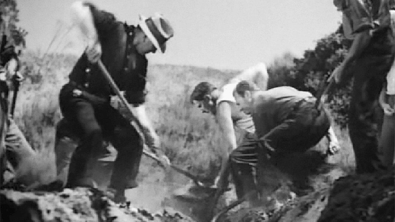 Our Daily Bread 1934 movie scene