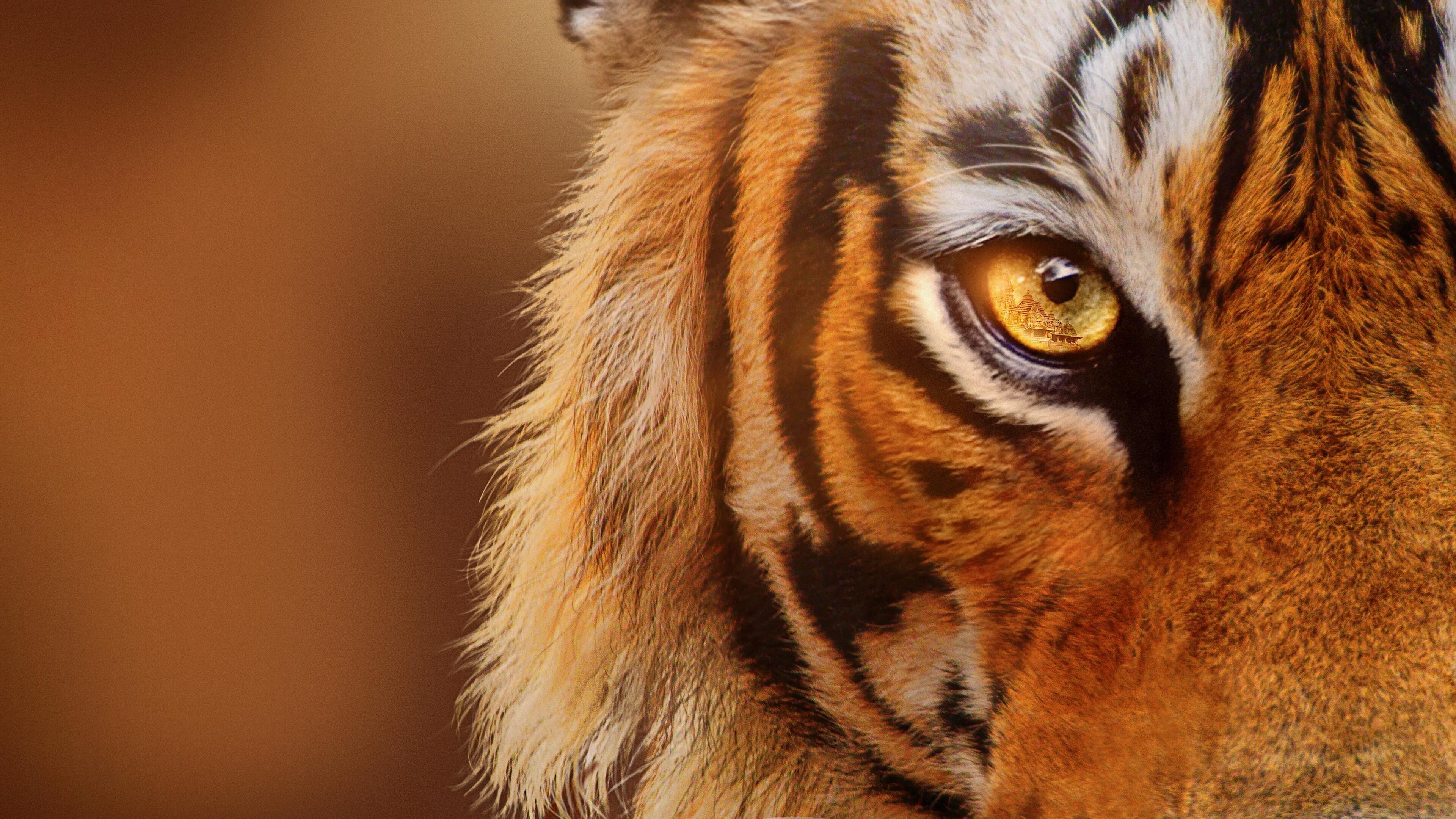Tigers on the Rise 2024 movie scene