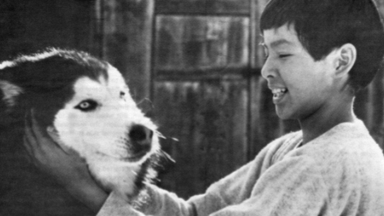 Spirit of the Wind 1979 movie scene