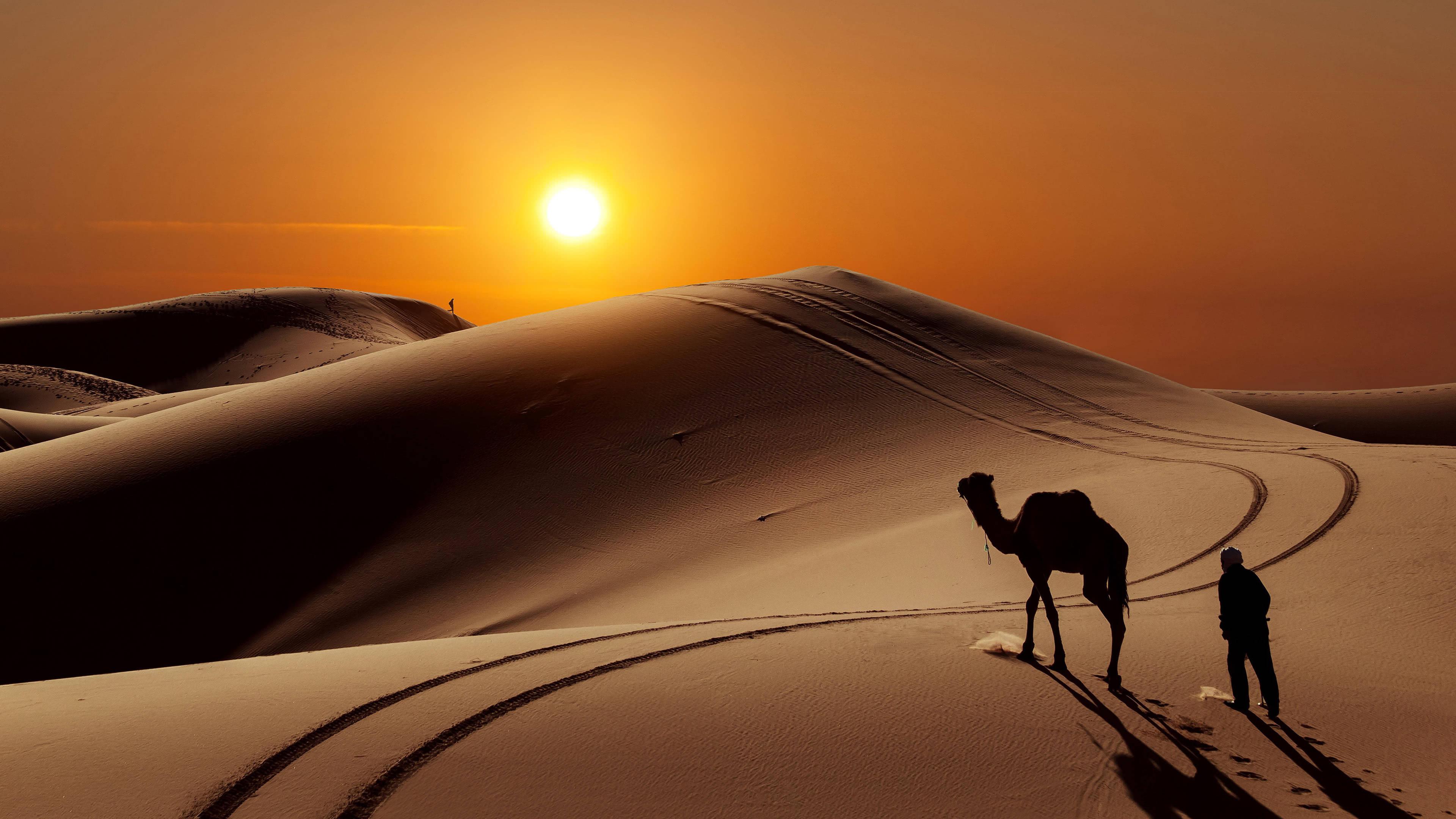 Morocco 8K  movie scene