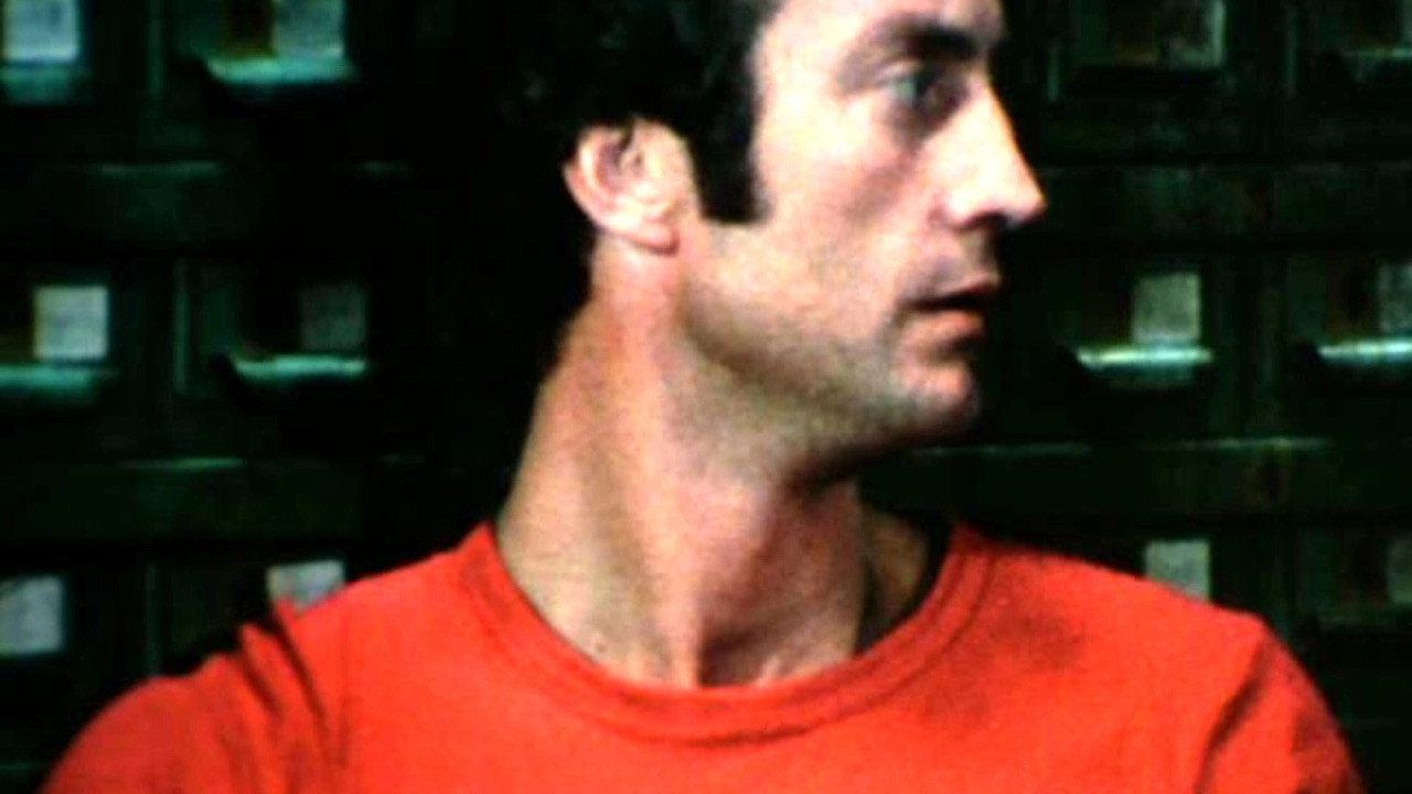 The Love Letters from Teralba Road 1977 movie scene