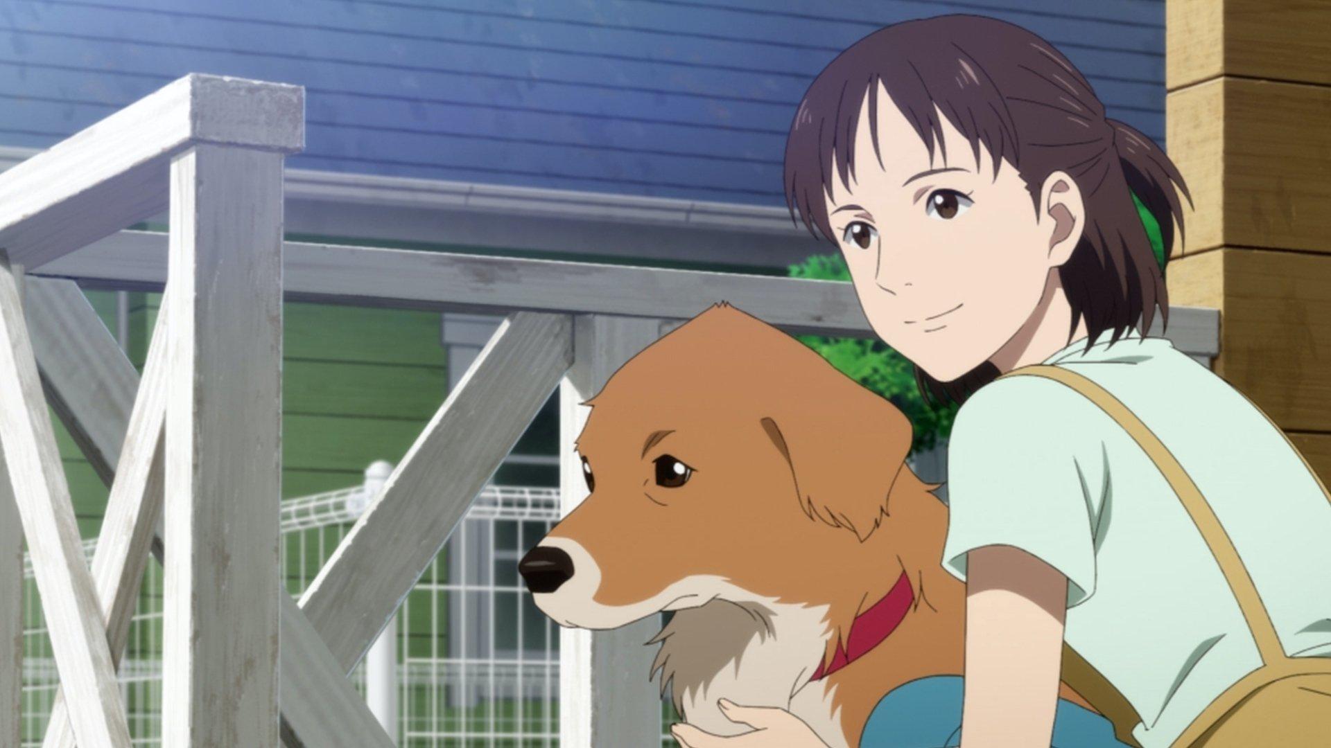 Pointy-Headed Gonta: The Story of the Two-Named Dog in the Fukushima Disaster 2022 movie scene